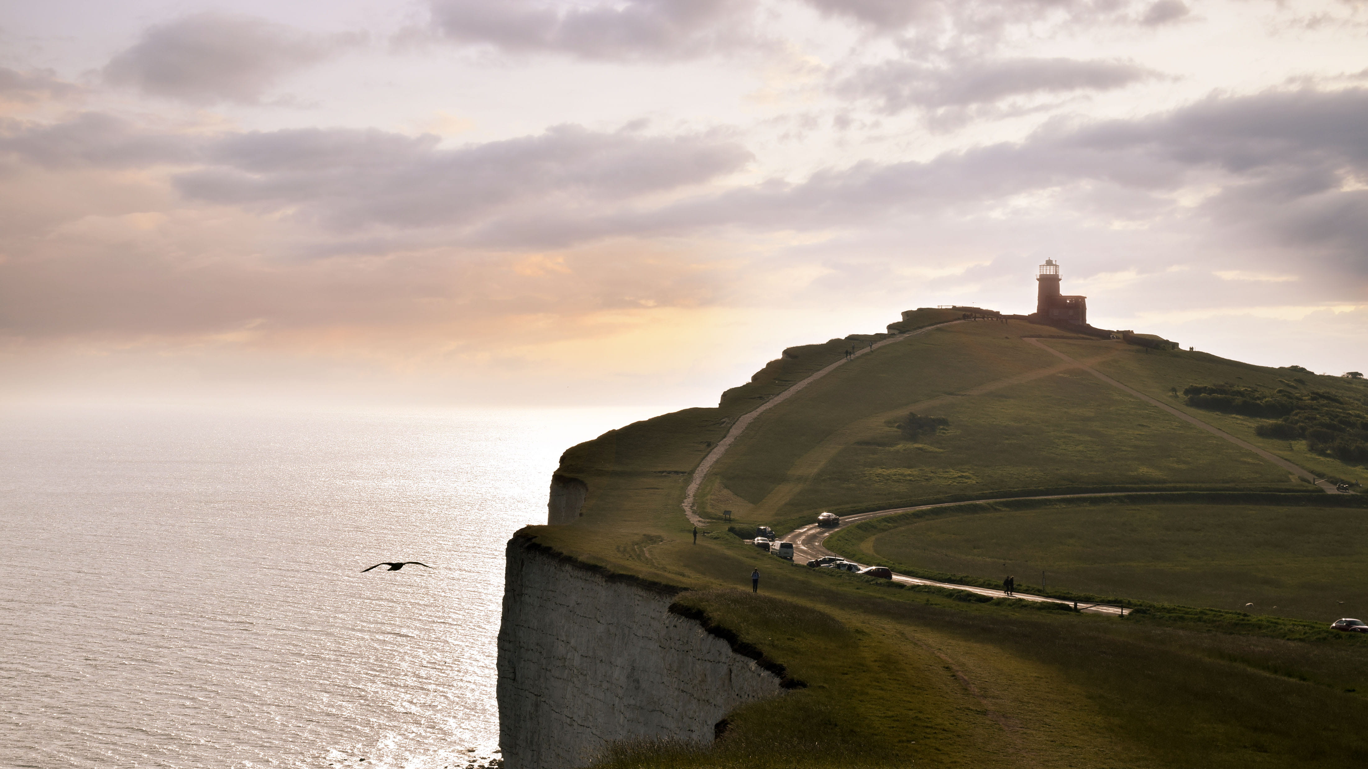 built structure, seagull, nature, sea, sky, land, seven sisters, white cliff, outdoors, cliff, mountain, sunset, beauty in nature, tranquil scene, no people, HD Wallpaper