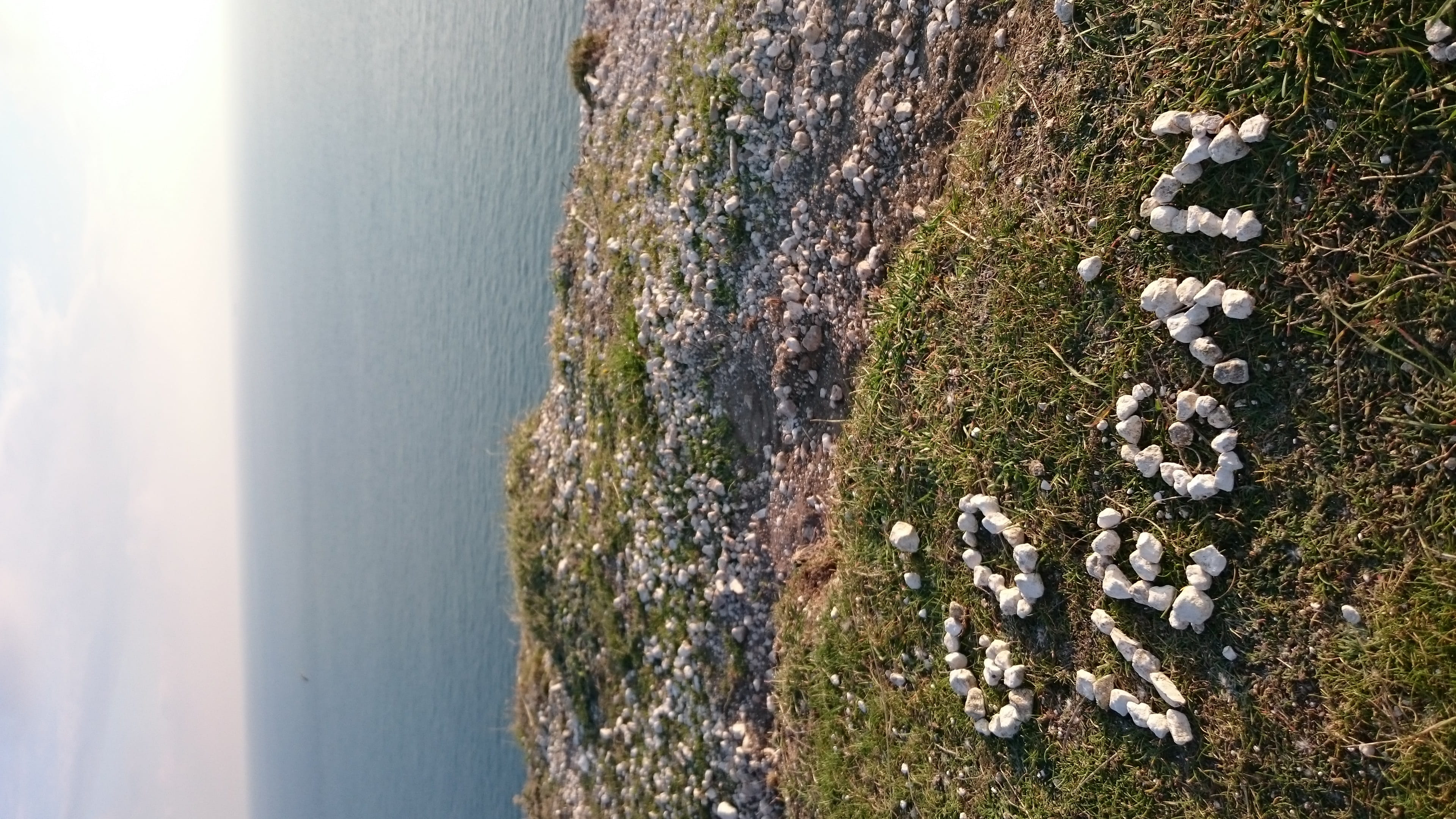 no people, 4K, water, british seaside, day, tranquil scene, land, beach, seven sisters cliffs, sea, animal themes, horizon over water, beauty in nature, HD Wallpaper