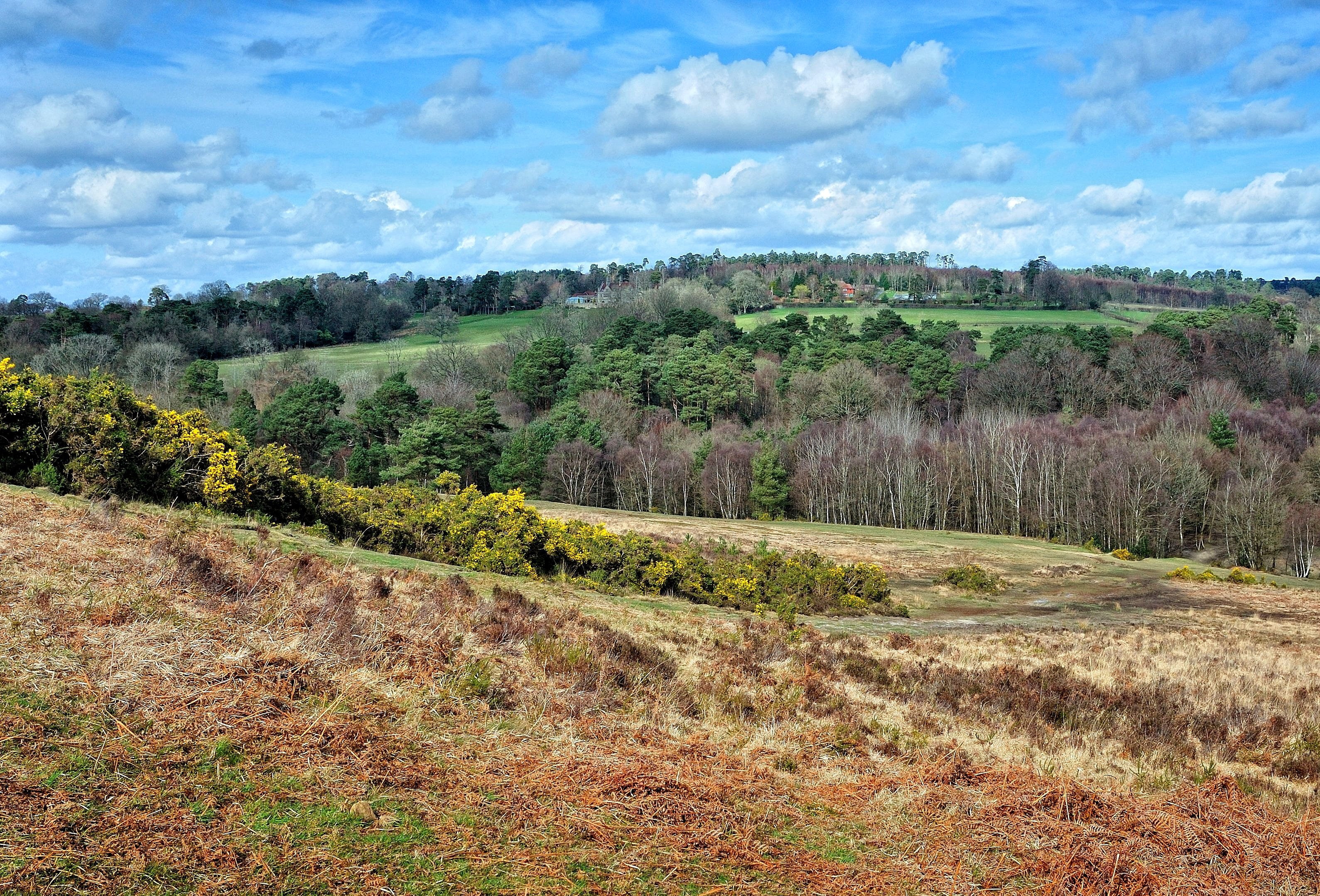 East Sussex, landscape, 2K, the countryside, HD Wallpaper