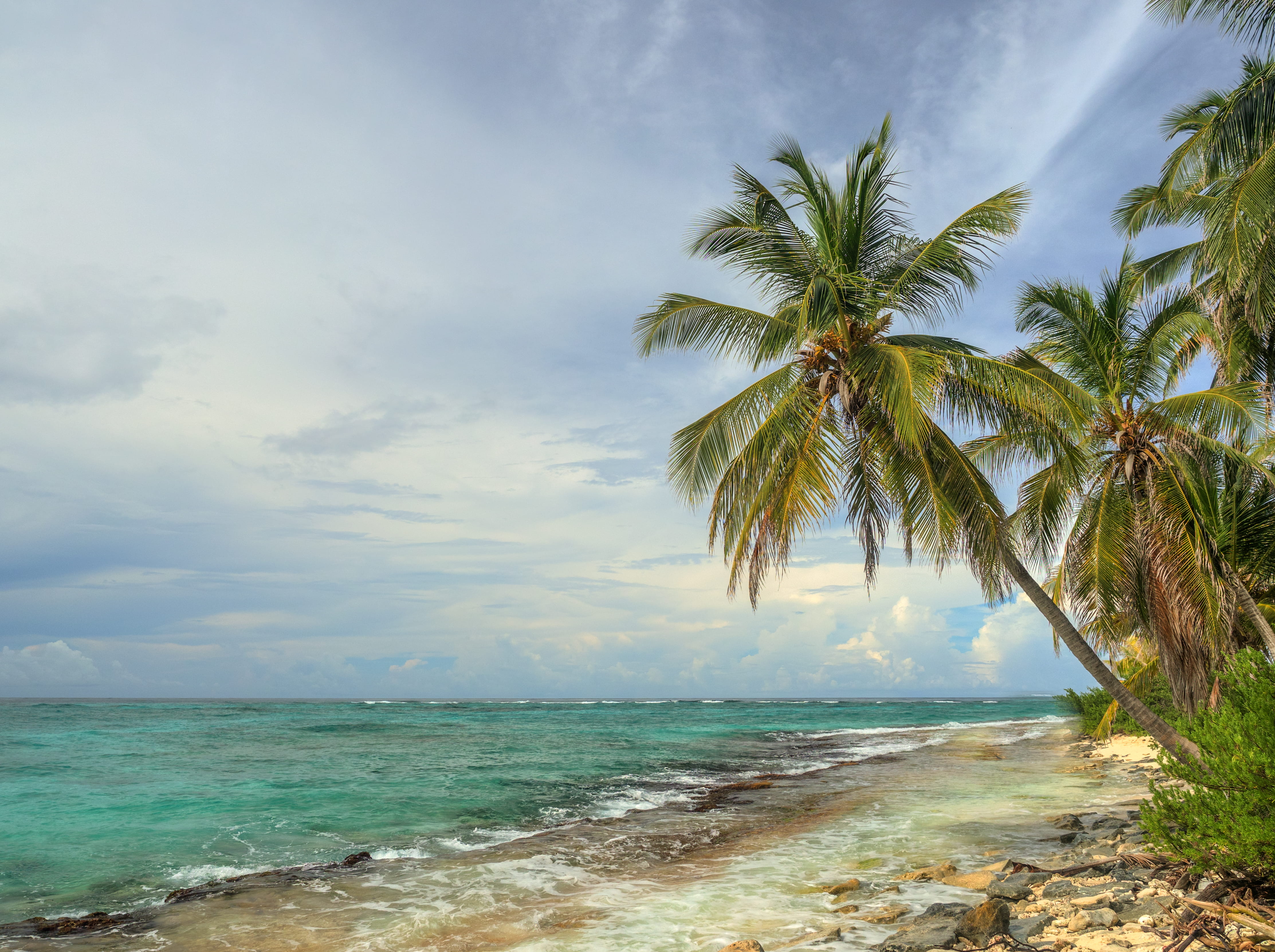 travelling, land, tropical tree, justbe, horizon over water, quiet, tree, coconut palm tree, peaceful, colombia, cloud - sky, palm, no people, palms, nature, HD Wallpaper