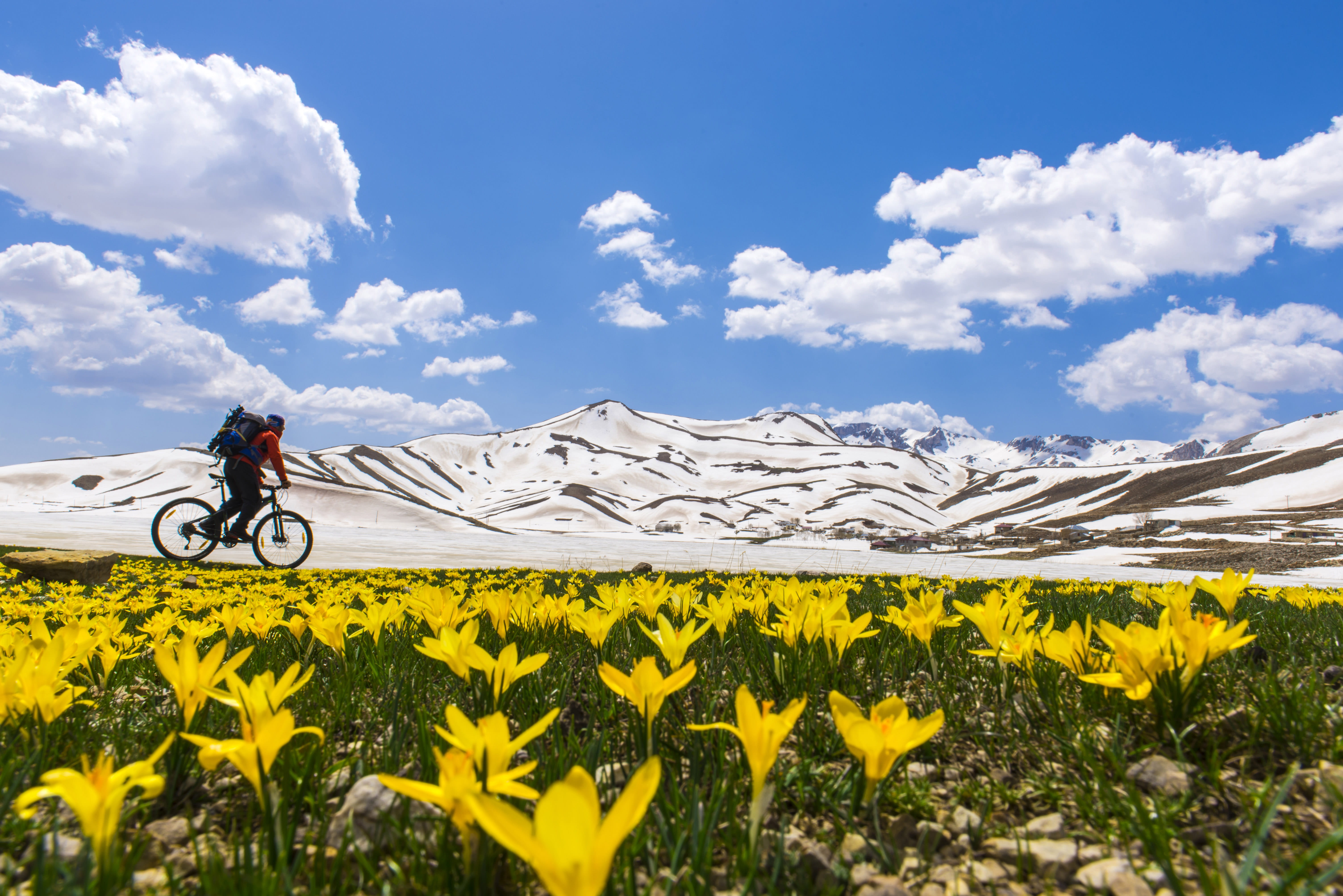 rural Scene, Mountain, flowers, mountain landscape, environment, one person, nature, beauty in nature, land, motorcycle, sport, blue, past, transportation, HD Wallpaper