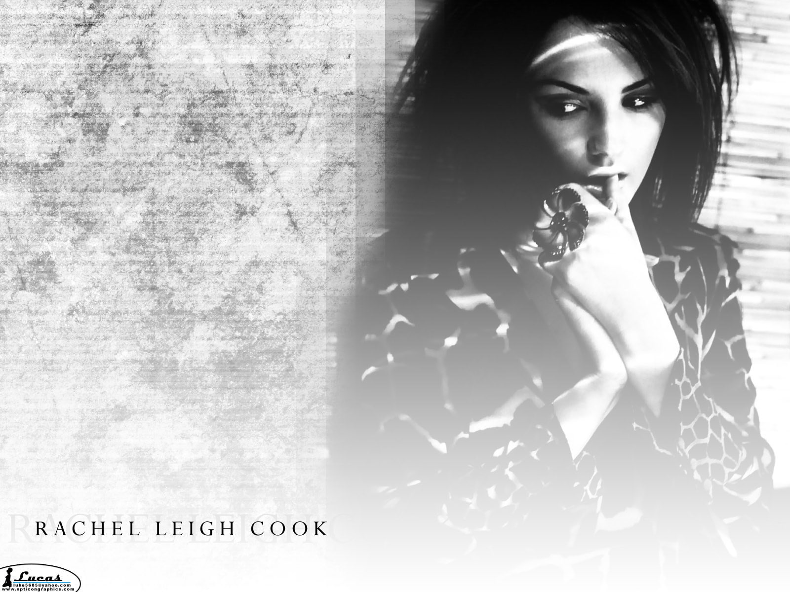 720P, rachael leigh cook, HD Wallpaper