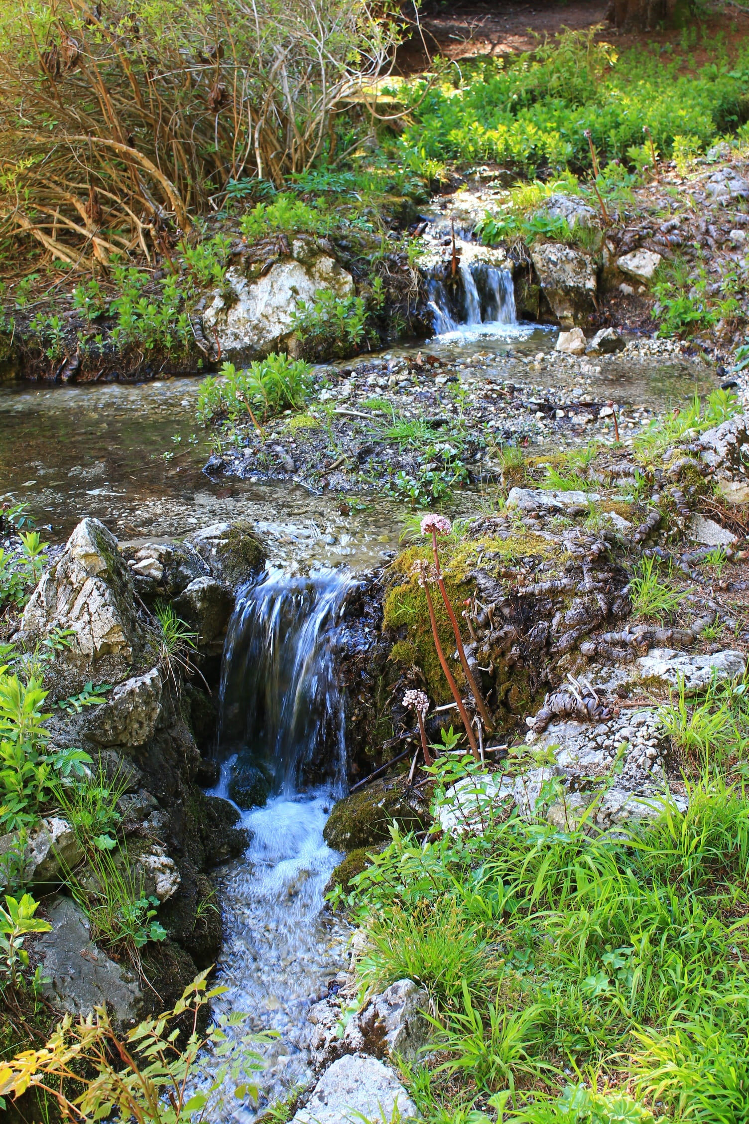 long exposure, water running, forest, bach, downloading, no people, stream - flowing water, blurred motion, rock, flowing water, power in nature, waterfall, Phone HD Wallpaper