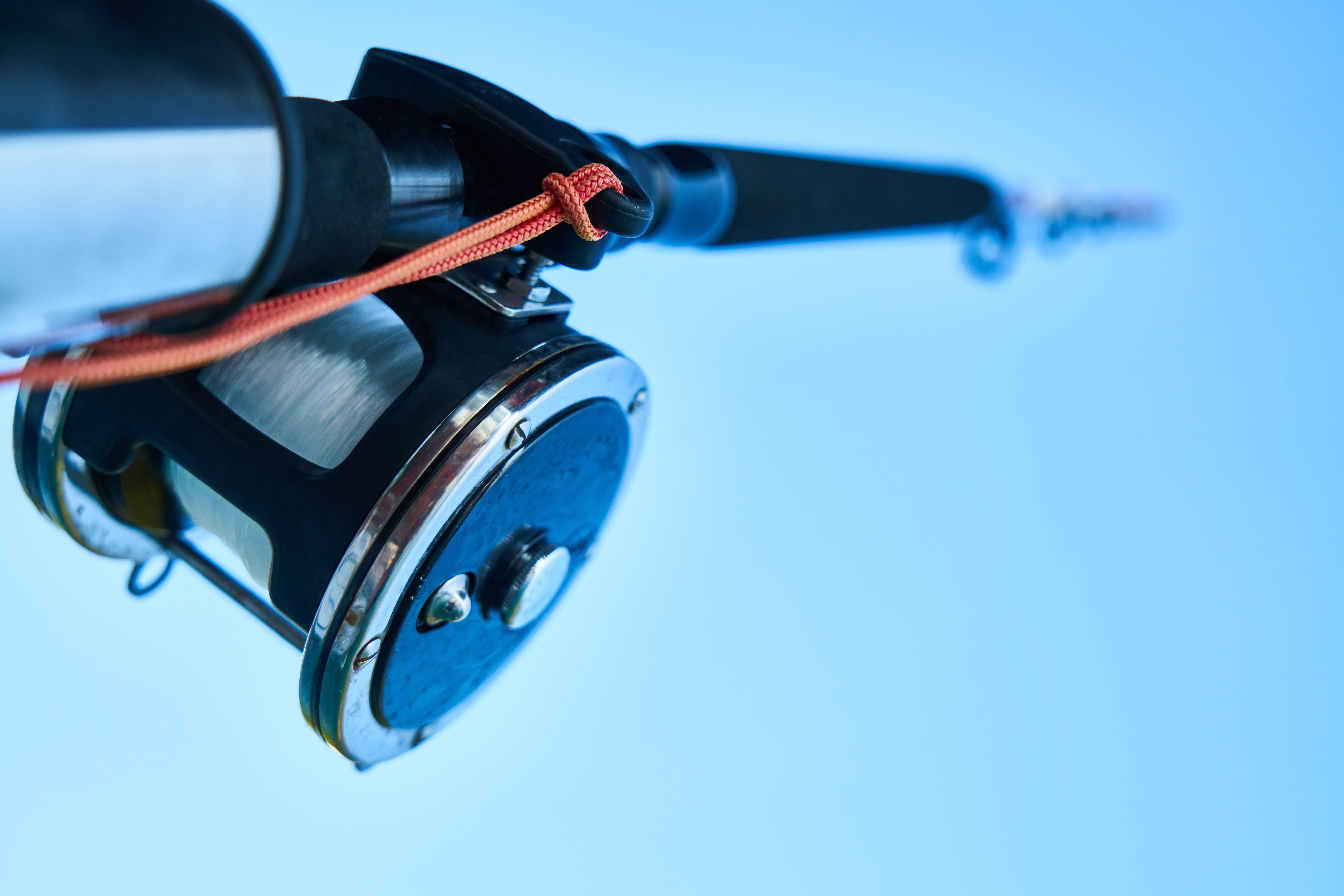 blue, close-up, fishing line, colored background, nature, no people, catch, copy space, marine, day, fish, metal, indoors, motion, toys hobbies, hunter, HD Wallpaper