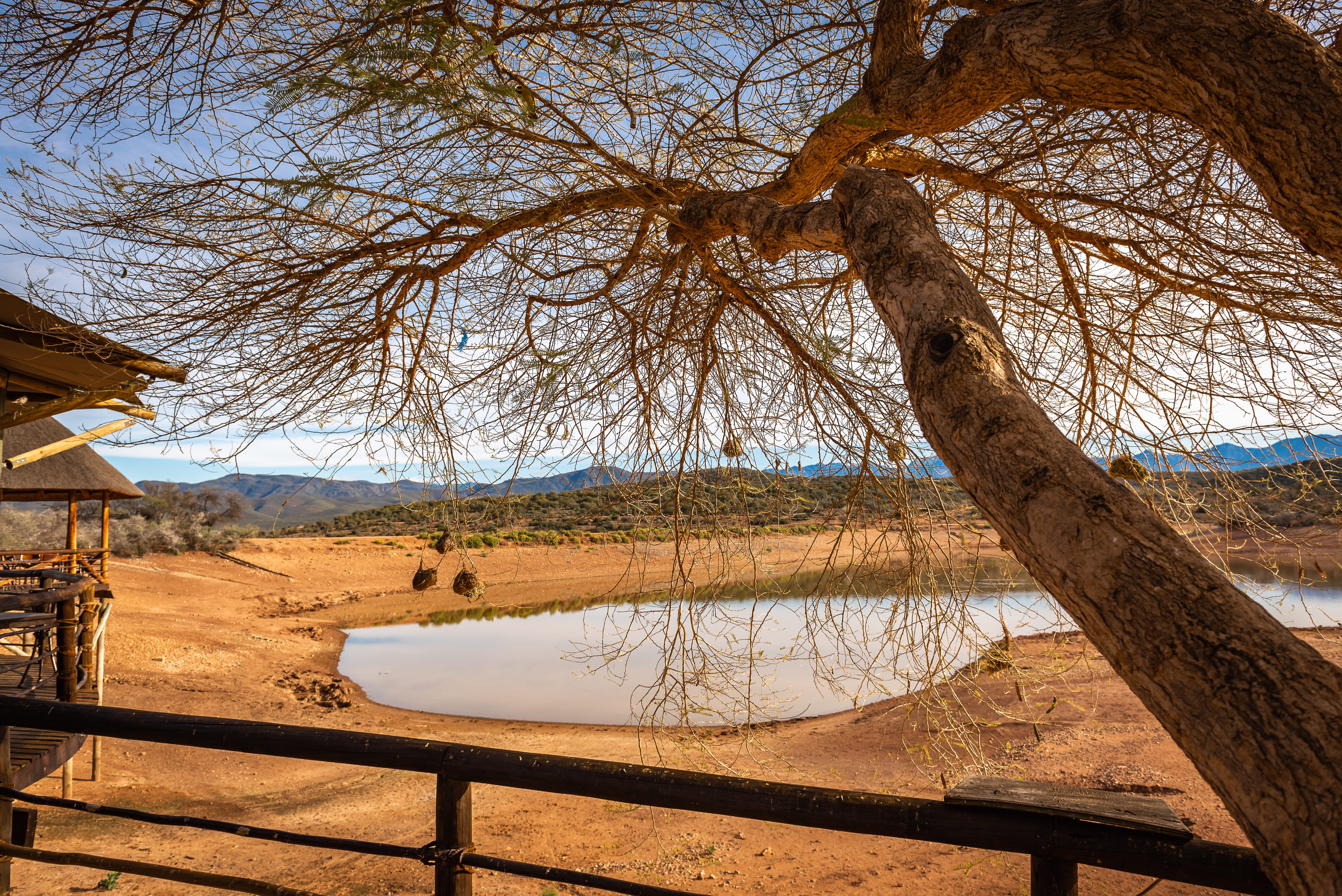 travel, tranquility, camp, lake, tree, africa, tranquil scene, nest, fence, trunk, weaver birds, relax, beauty in nature, 5K, sand, safari, scenics - nature, HD Wallpaper
