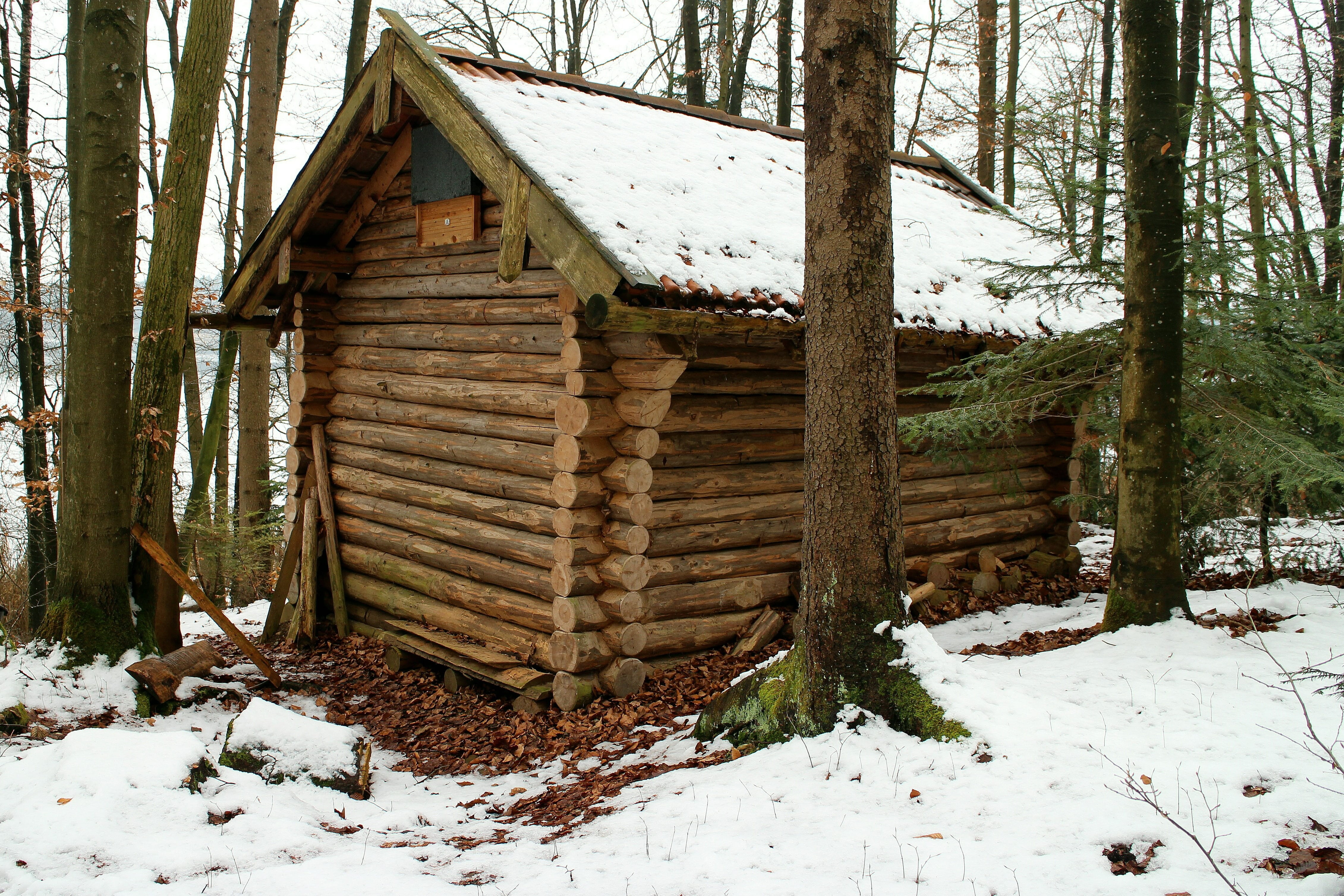 cabin, Nature, plant, no people, wood - material, building exterior, covering, rest house, architecture, hiking, stay, Log Cabin, field, hike, Block House, HD Wallpaper