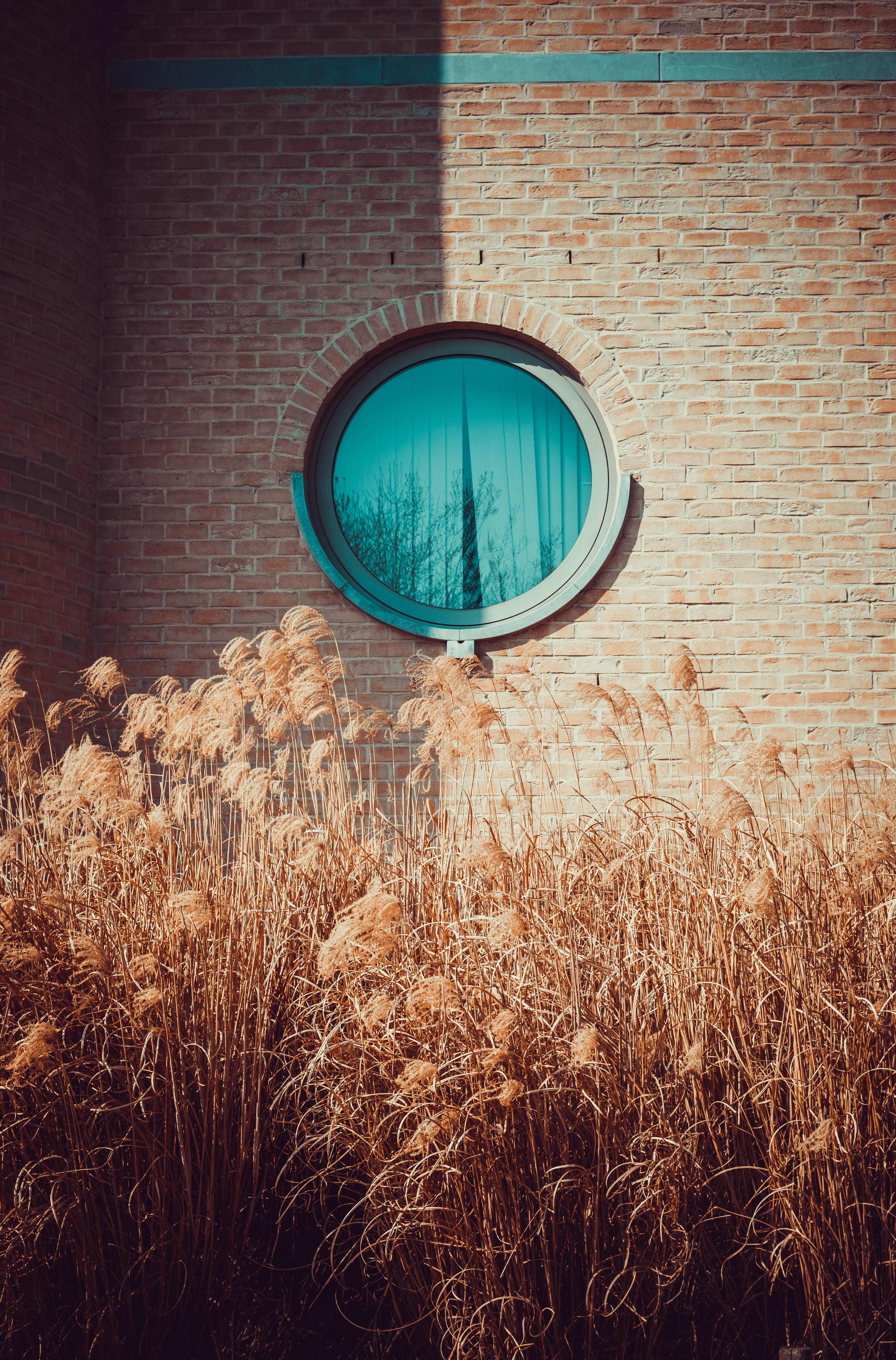 outdoor, structure, 5K, louvain-la-neuve, street, belgium, outdoors, circle, wall - building feature, sunlight, shape, stonewall, blue, wooden, wall, retro, Phone HD Wallpaper