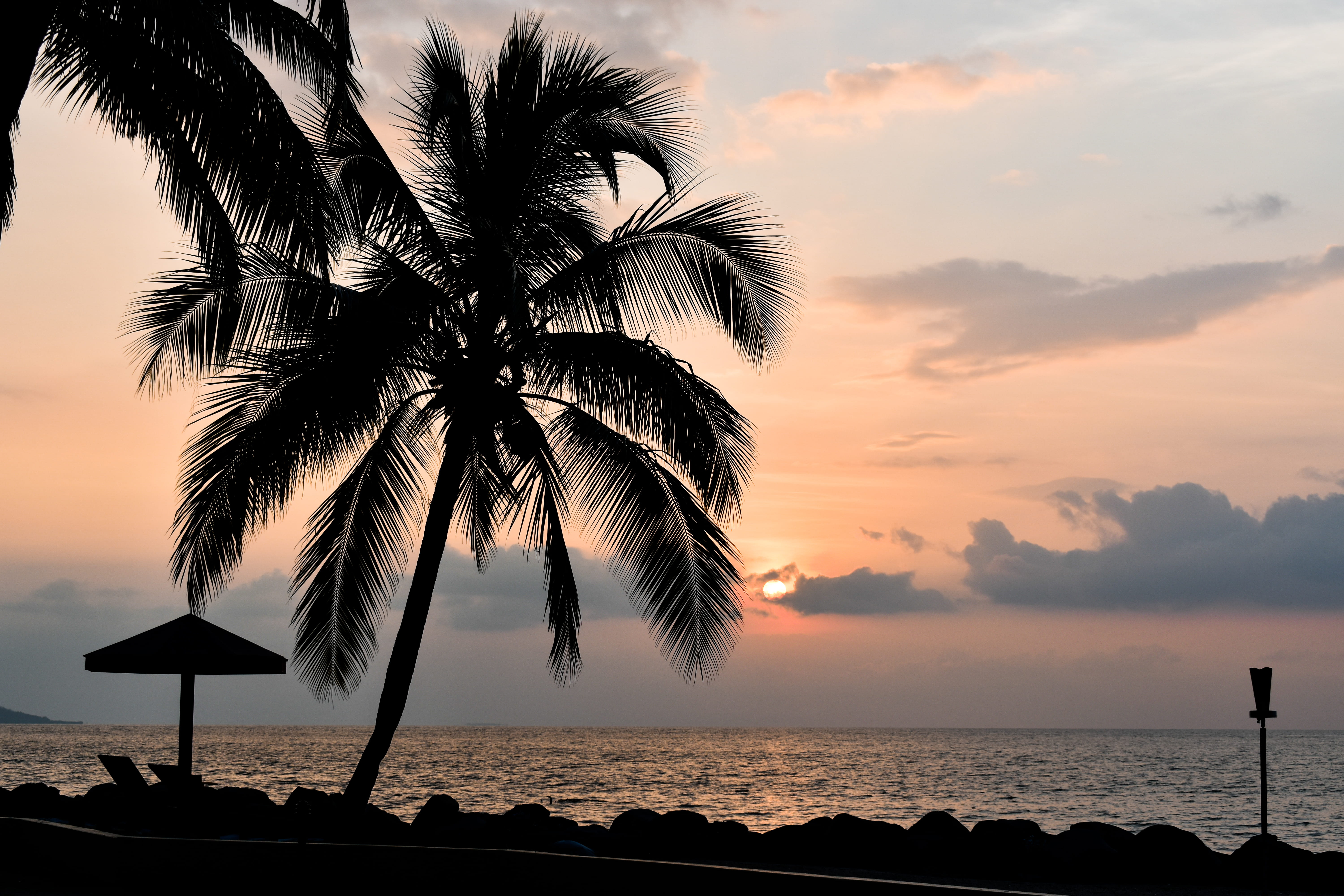 tropical climate, palm tree, nadi, 5K, tree, fiji, land, plant, ocean, island, doubletree resort by hilton hotel fiji - sonaisali island, water, sunset, HD Wallpaper