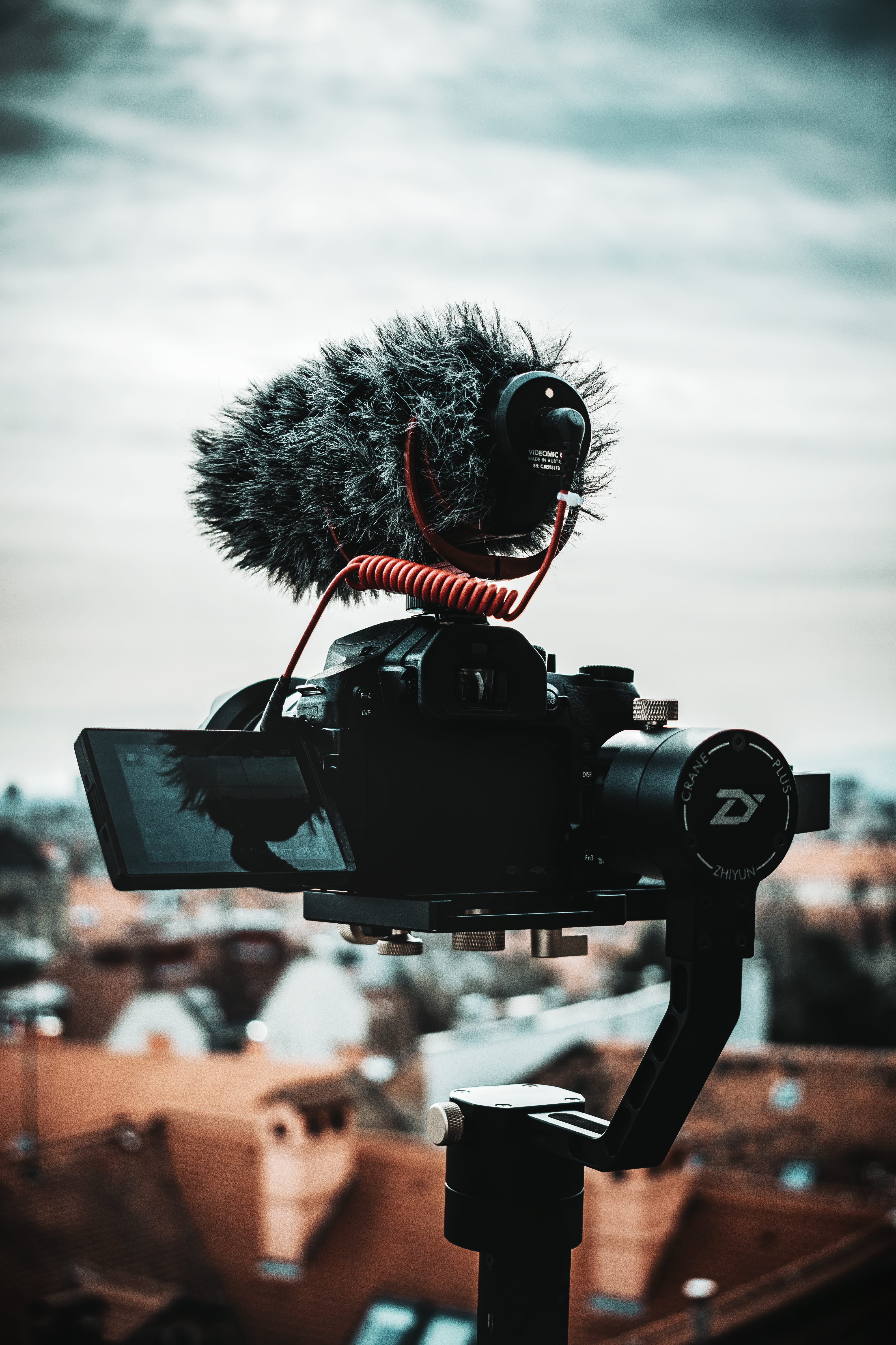 dslr, animal themes, animal, day, city, digital camera, camera - photographic equipment, black, animal wildlife, building, face, sky, close-up, lumix, gimbal, Phone HD Wallpaper