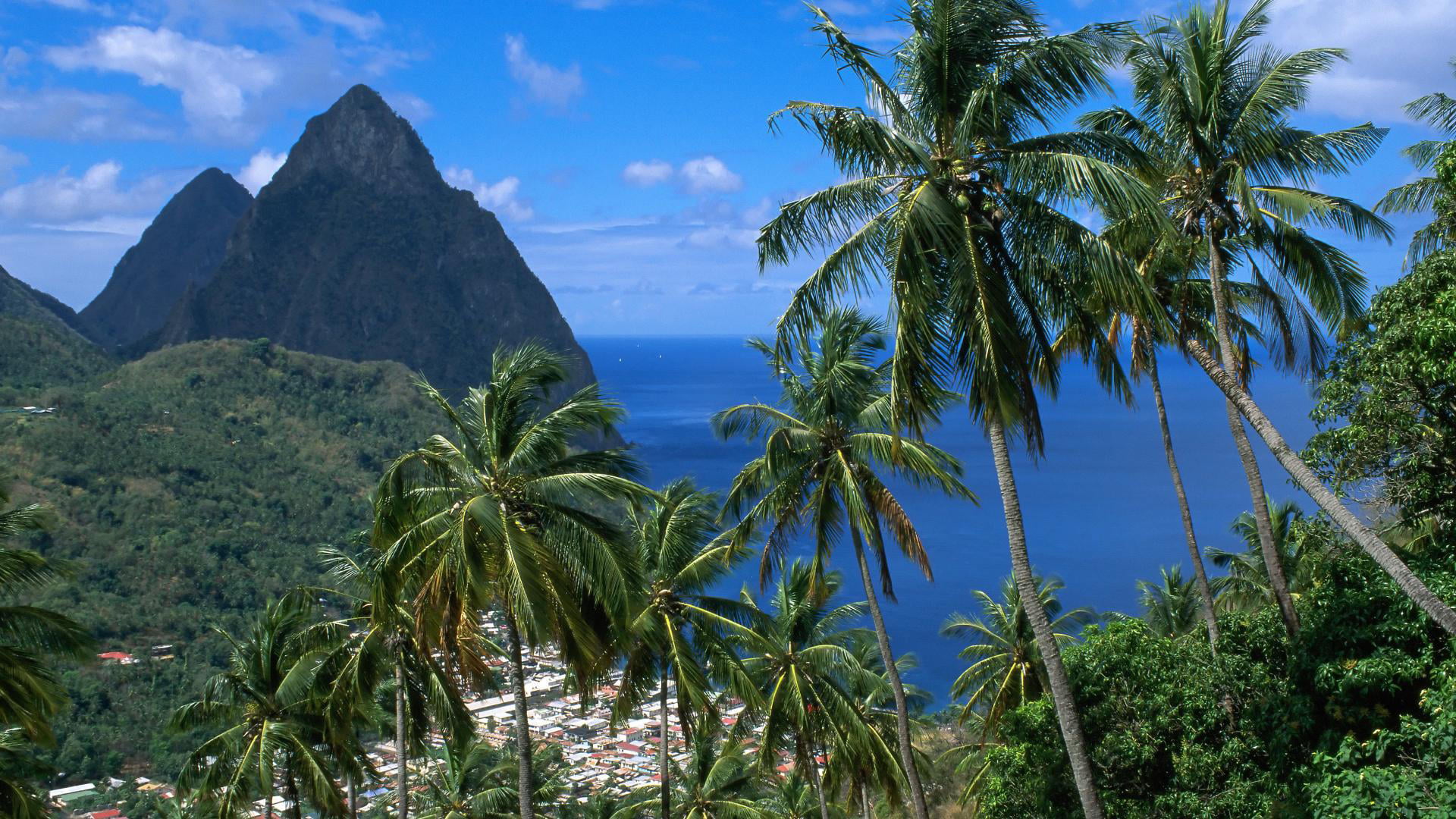 day, St-Lucia, sky, palm tree, nature, tropical tree, cloud - sky, Soufriere, idyllic, growth, scenics - nature, Soufriere and the Pitons, outdoors, tranquility, HD Wallpaper