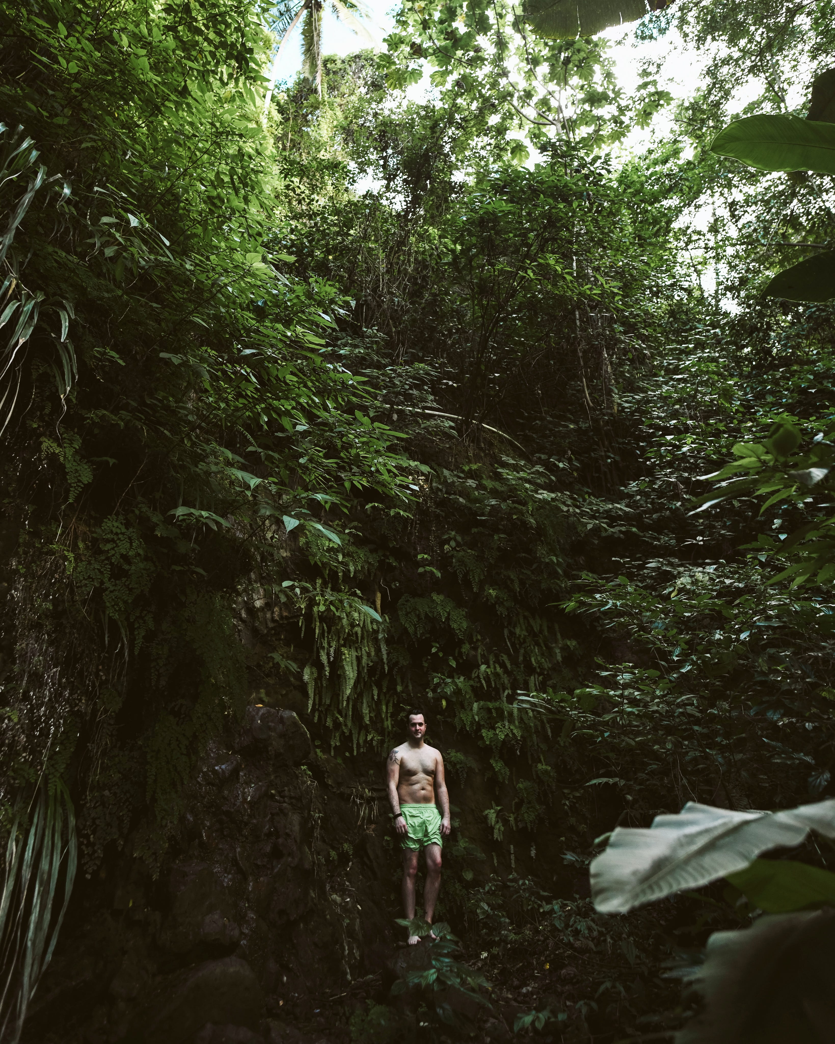 standing, forest, nature, tree, lifestyles, plant, real people, leisure activity, water, full length, human, clothing, day, surrounded, st. lucia, growth, Phone HD Wallpaper