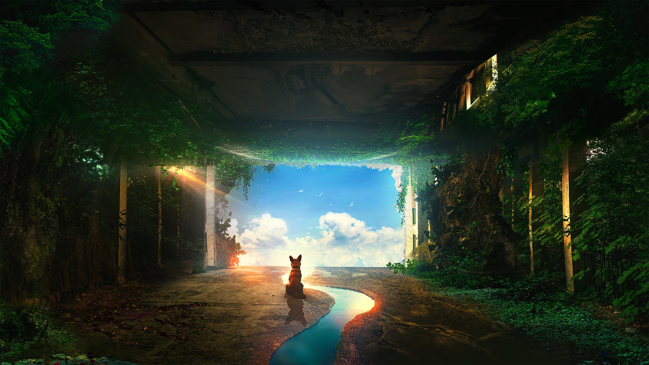 post, 2K, apocalyptic, dog, HD Wallpaper