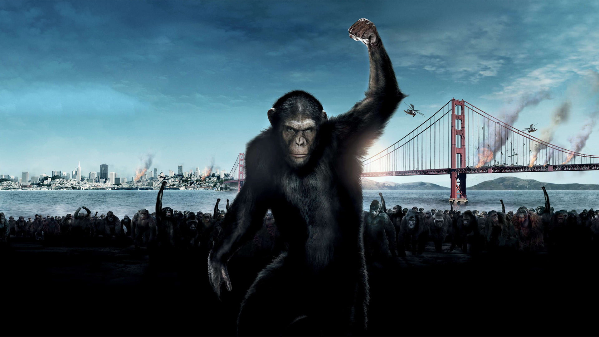 planet, apes, 1080P, rise, HD Wallpaper