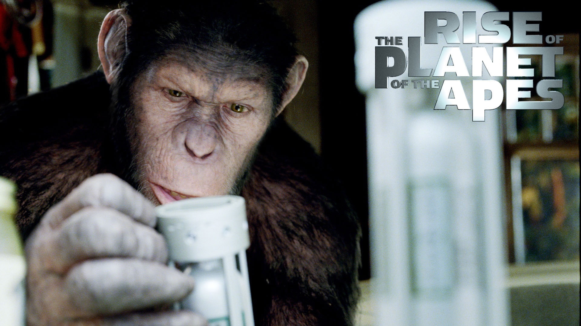 HD, Apes, Rise, Planet, 1080P, HD Wallpaper