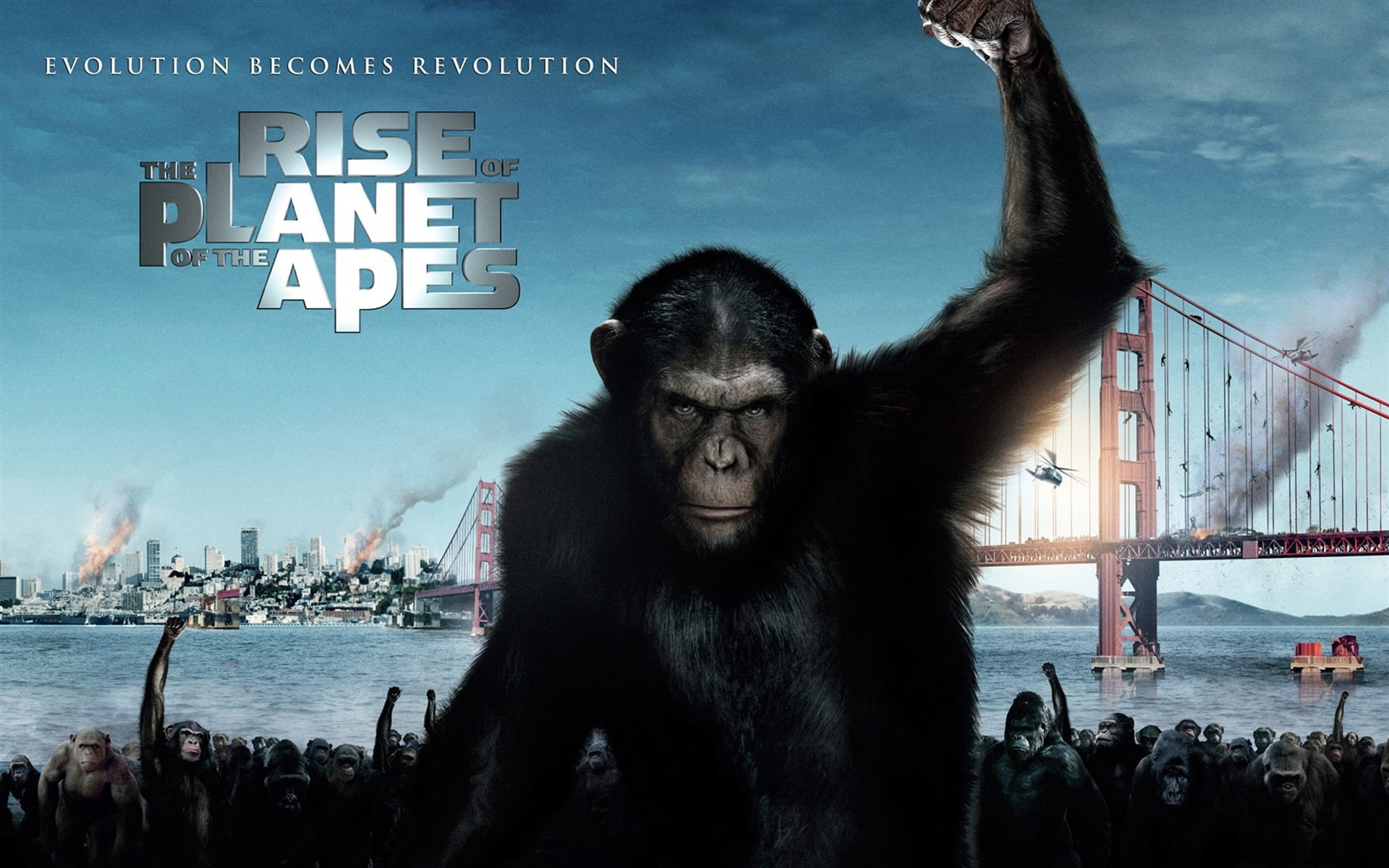 San Francisco, 1080P, Rise of the Planet of the Apes, bridge, monkey, HD Wallpaper