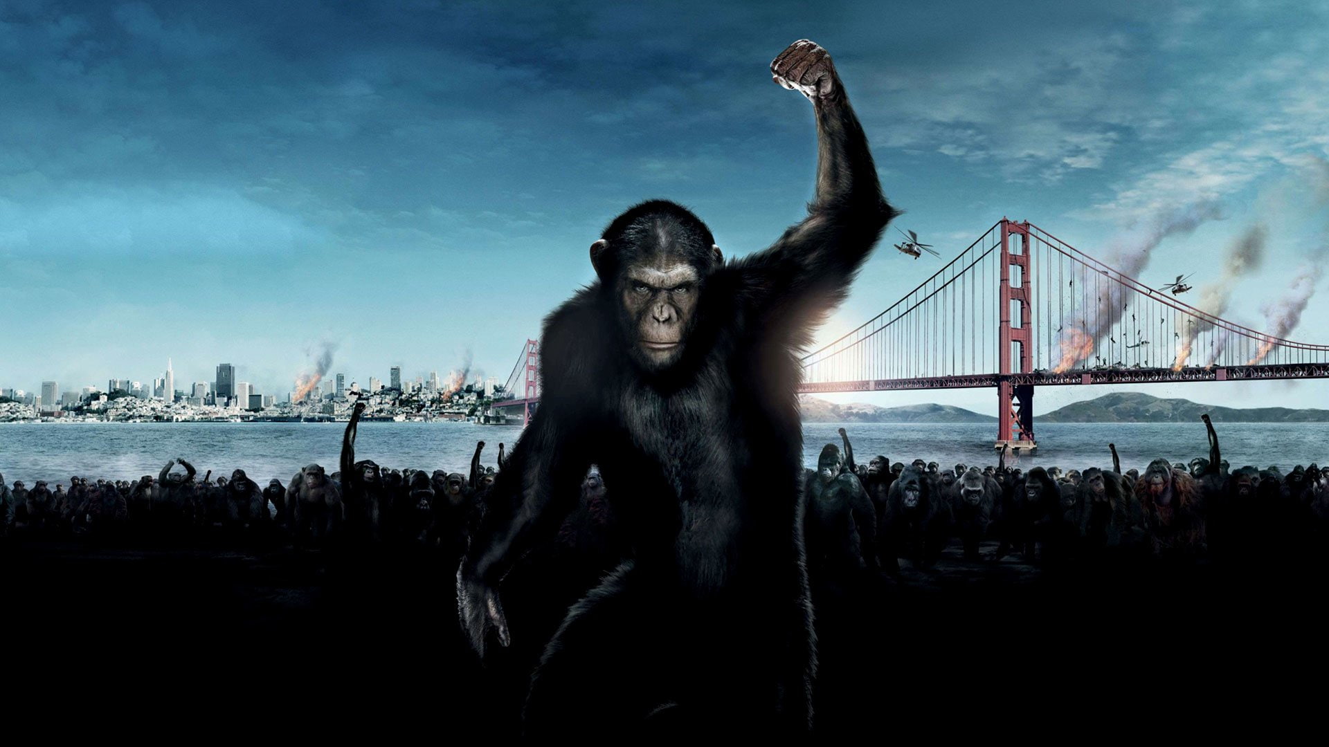 1080P, Rise Of The Planet Of The Apes, Movie, HD Wallpaper