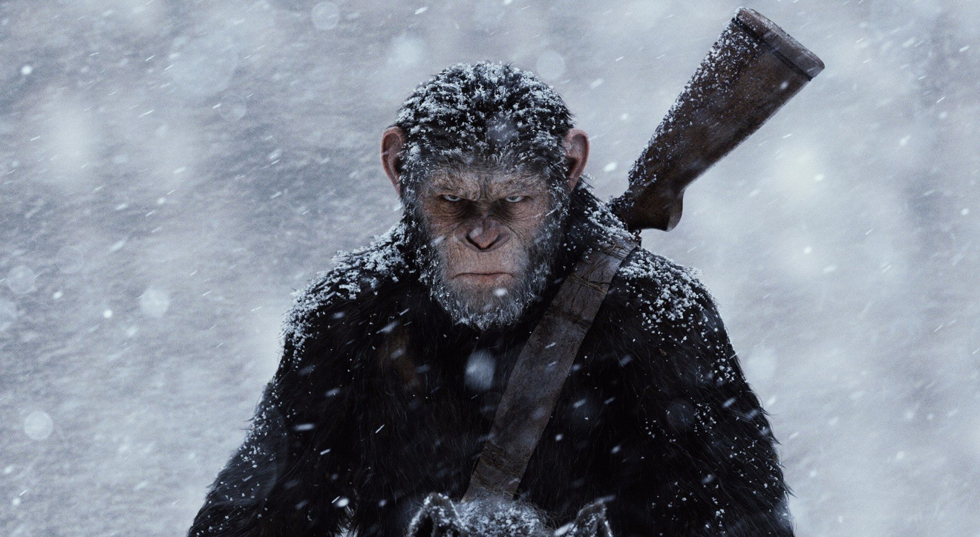2017, blizzard, day, extreme weather, rise, portrait, war for the planet of the apes, wet, 1080P, Movies, planet, real people, apes, focus on foreground, HD Wallpaper