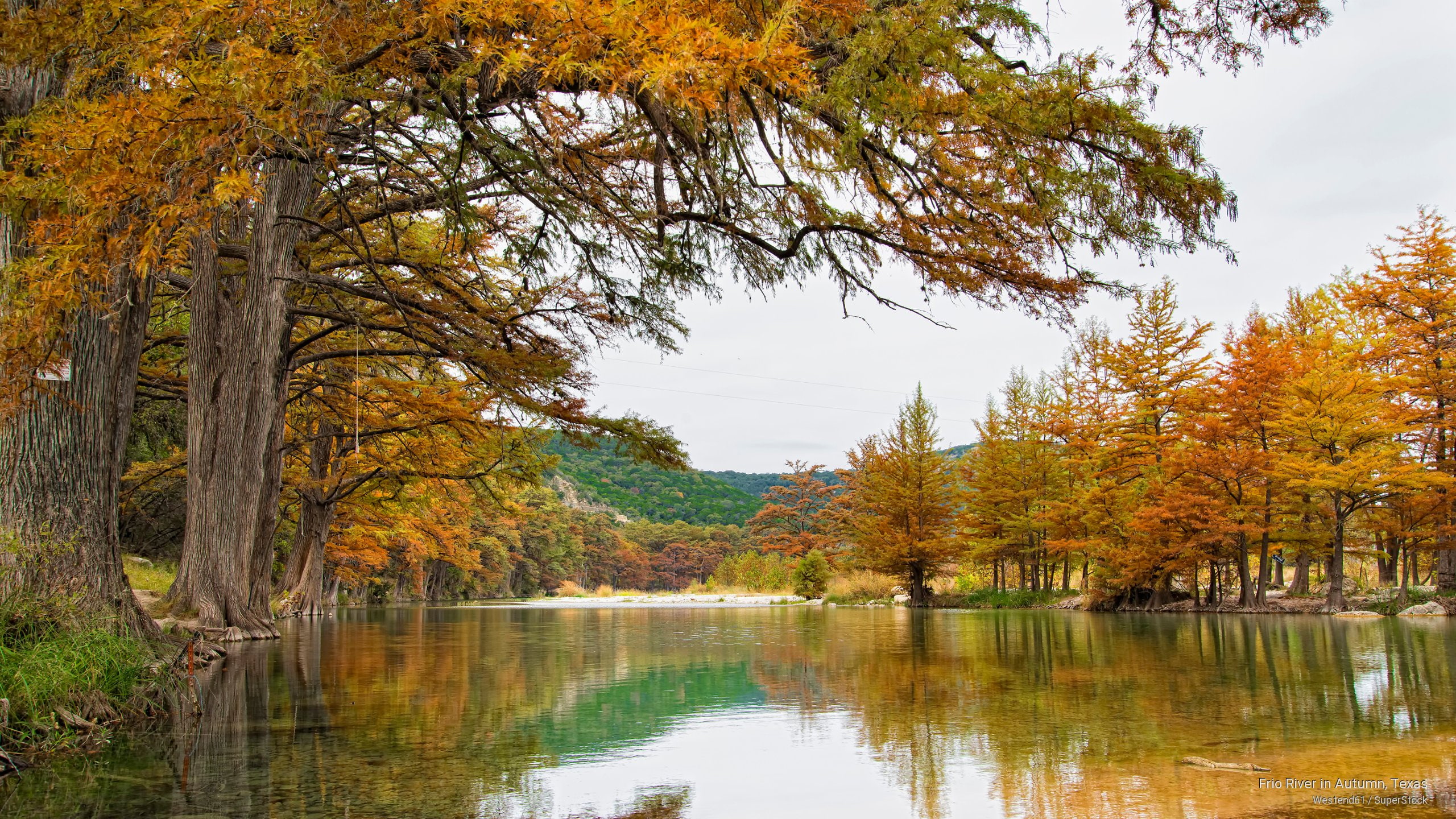 Fall, river, texas, autumn, frio, 2K, HD Wallpaper