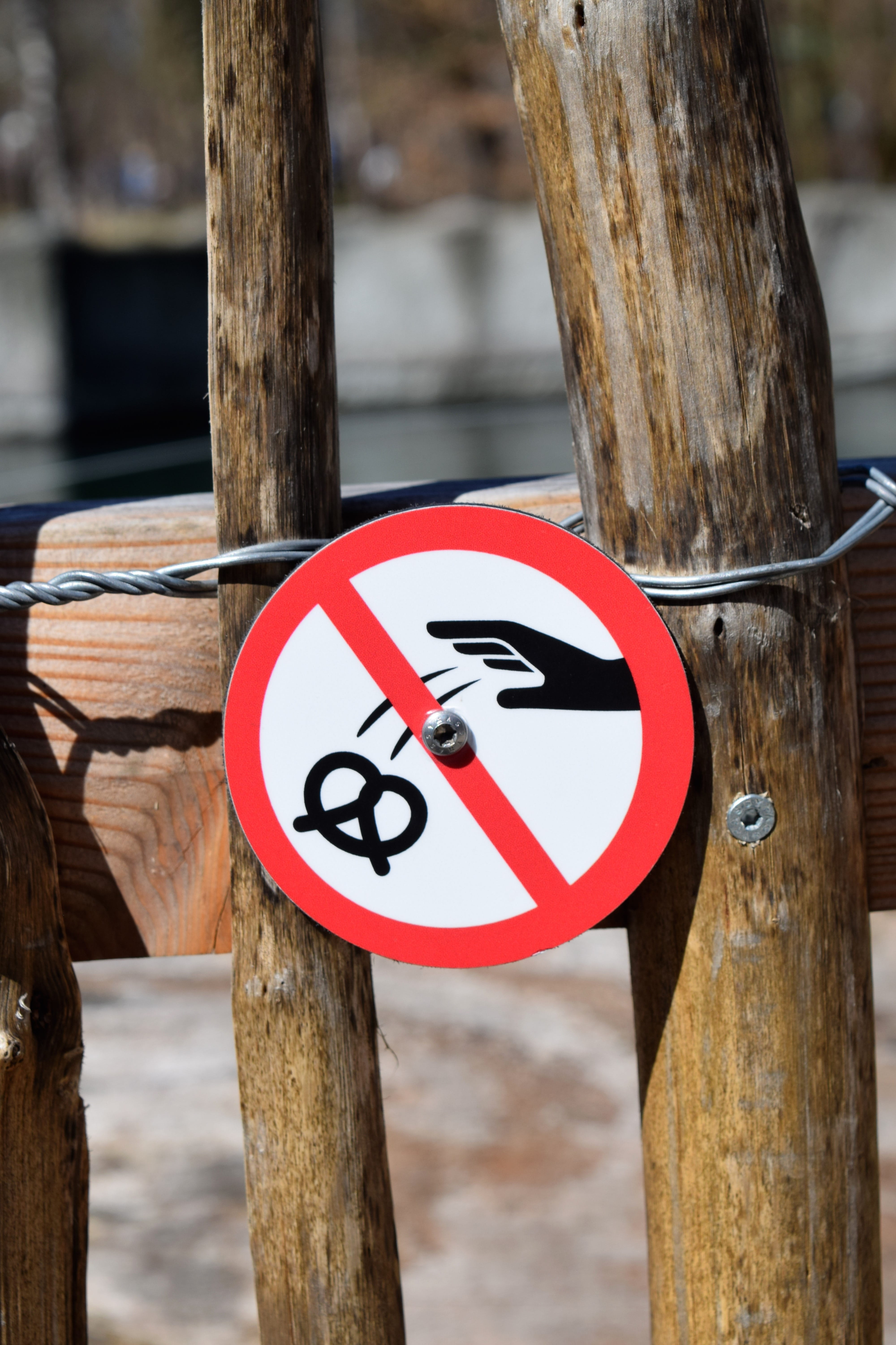 tree, communication, feeding, wood, tree trunk, close-up, outdoors, white, metal, warning sign, wooden post, focus on foreground, shape, sign, nature, no trash, Phone HD Wallpaper