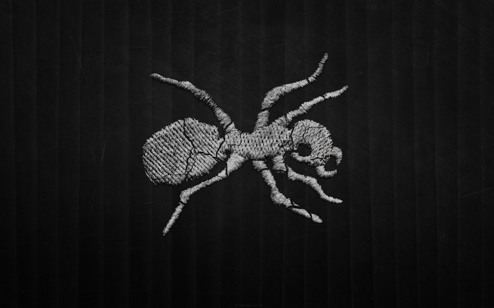 marine, shape, minimalism, animals in the wild, ant, animal wildlife, animal, black background, starfish, no people, animal representation, art and craft, HD Wallpaper