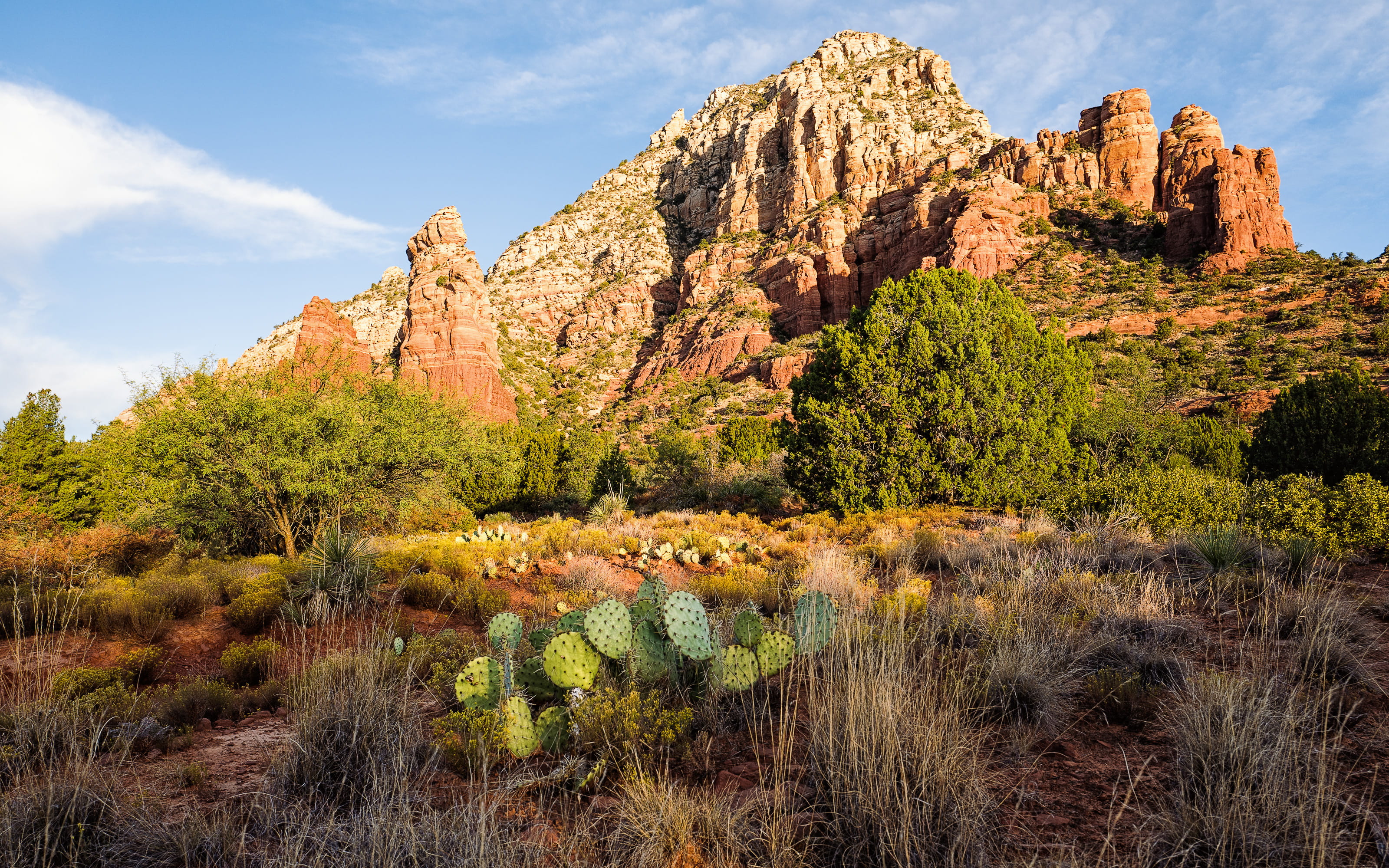 growth, morning, rock - object, sedon, sky, tranquil scene, rocks, outdoors, cactus, eroded, red, desert, rock, rock formation, 2K, sugar loaf trail, nature, HD Wallpaper