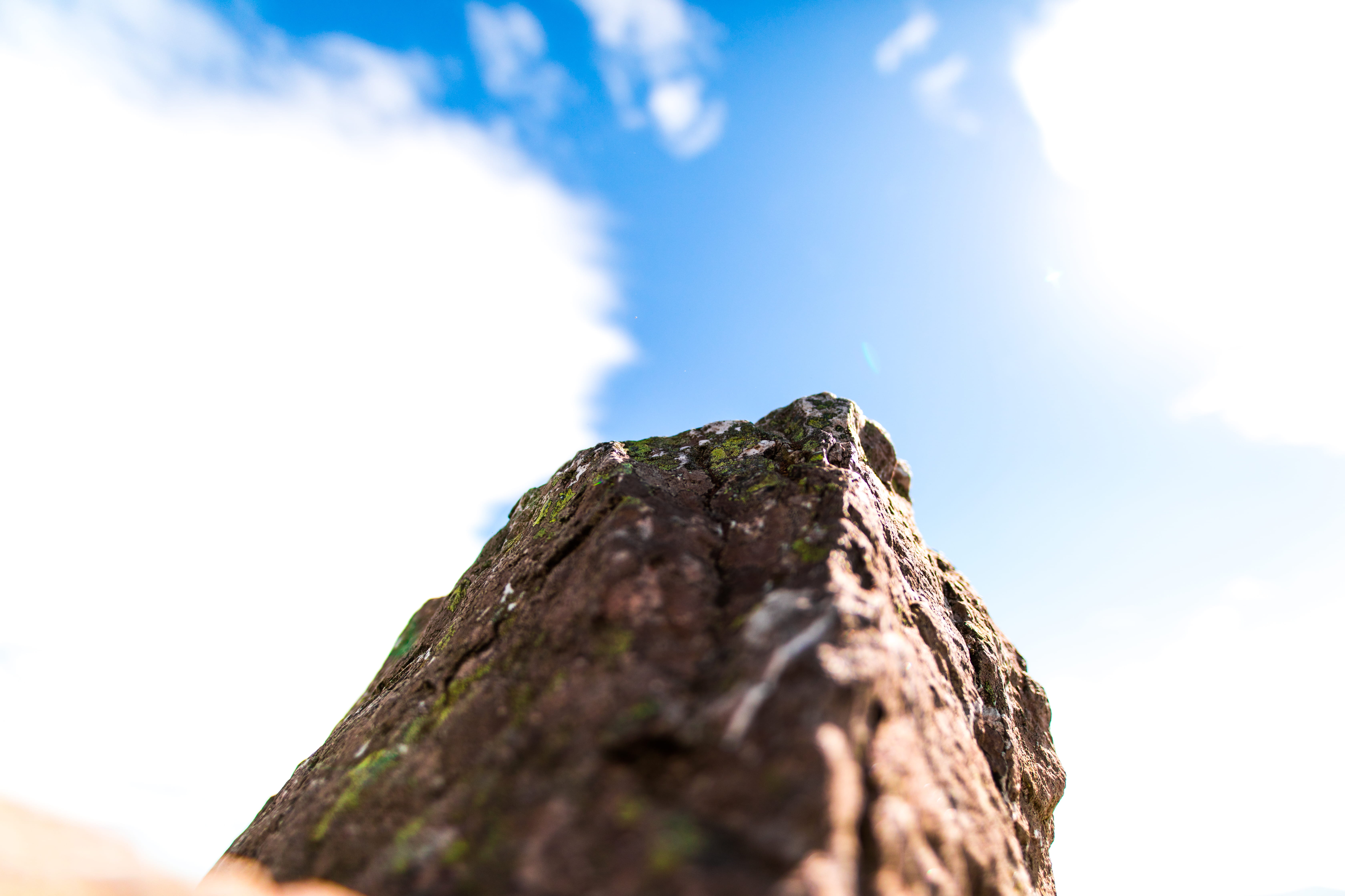 rock, sky, focus on foreground, 5K, close-up, low angle view, bark, beauty in nature, solid, tree, great sugar loaf, outdoors, textured, nature, no people, HD Wallpaper