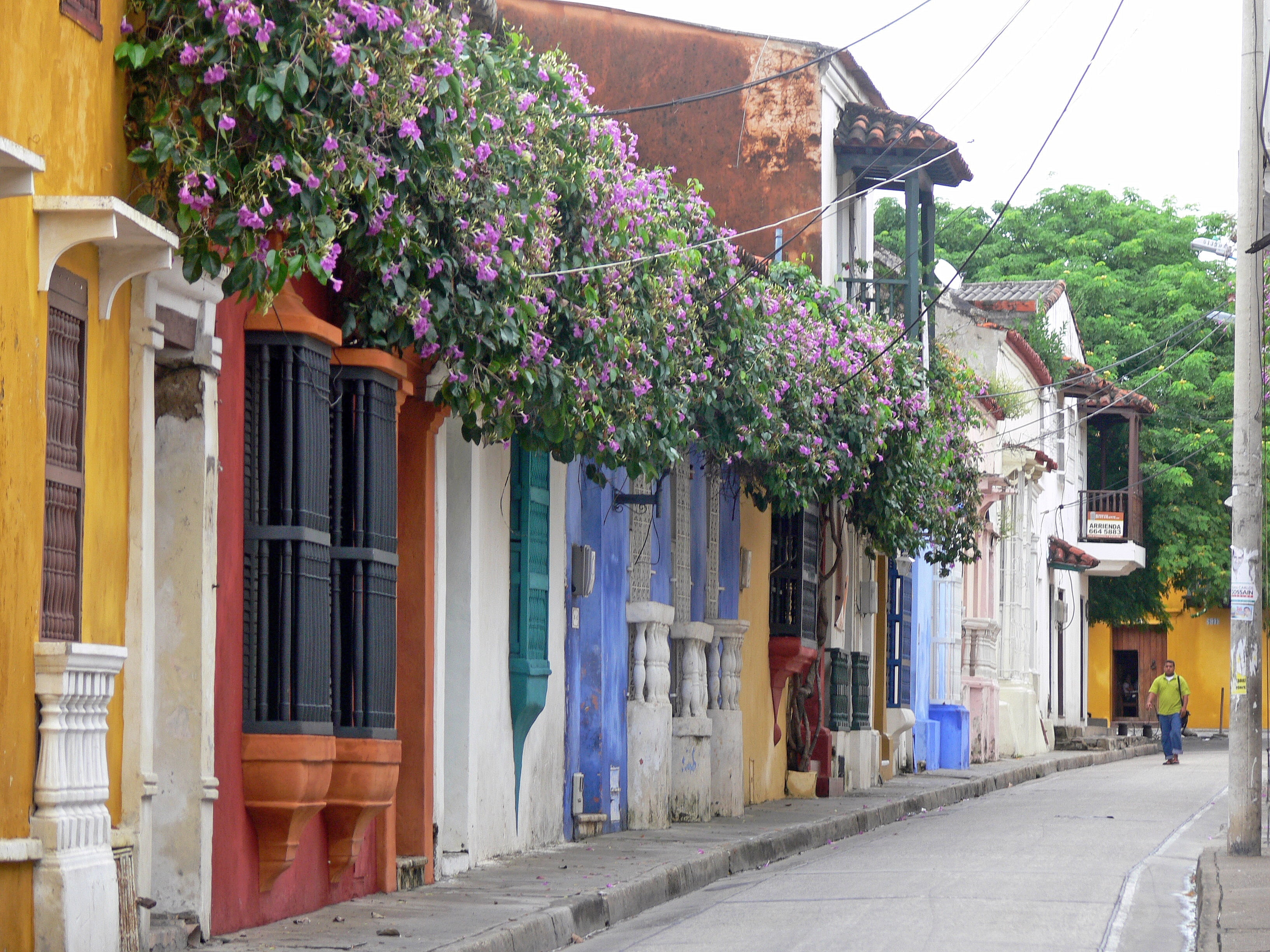 city, residential district, flower, 2K, building, outdoors, covered, plant, street, colombia, growth, flowering plant, cartagena de indias, flowers, old, HD Wallpaper