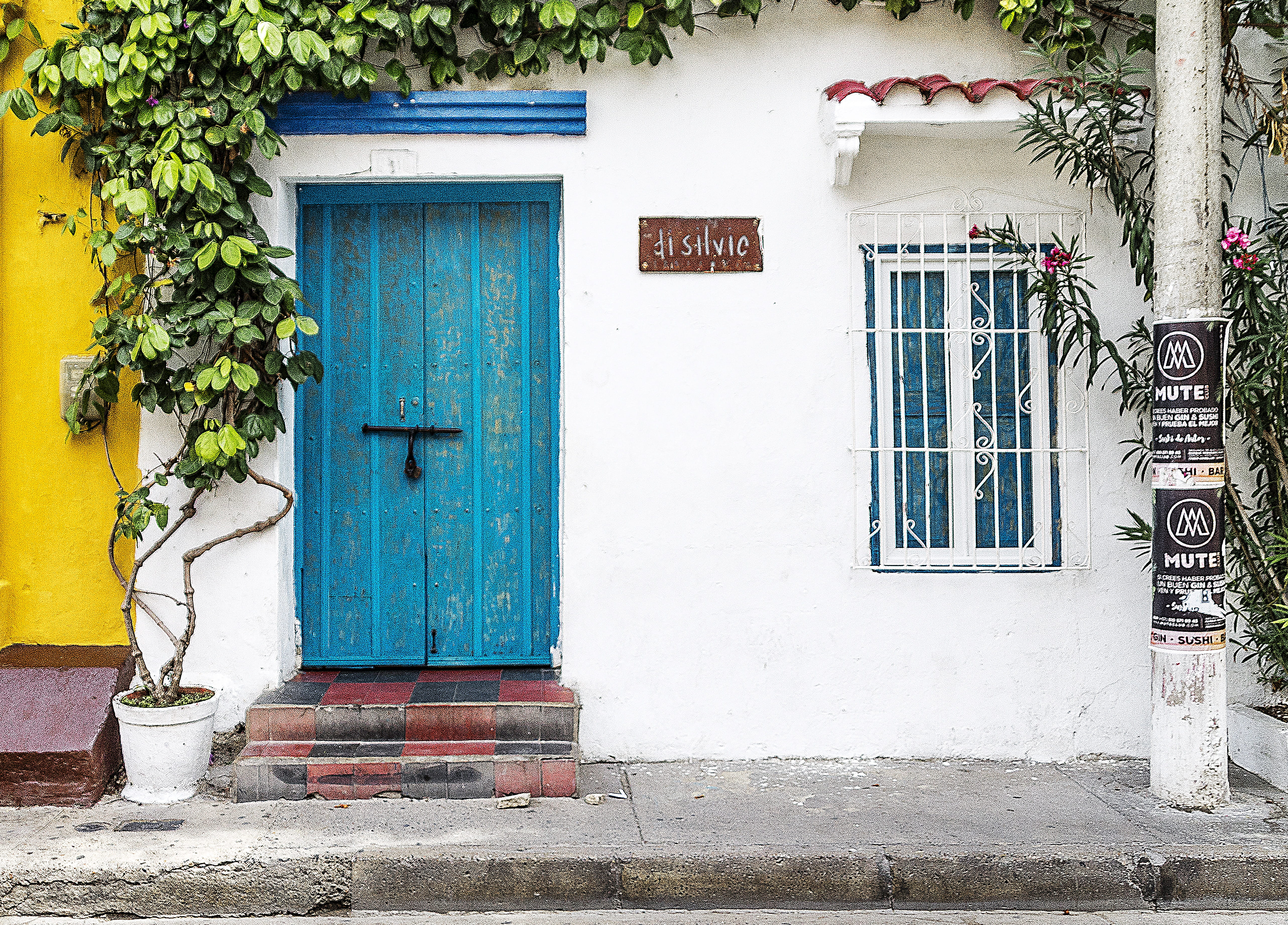 outdoors, wall - building feature, architecture, cartagena, old, plant, potted plant, house, facade, colombia, day, city, historic, window, urban, caribbean, HD Wallpaper