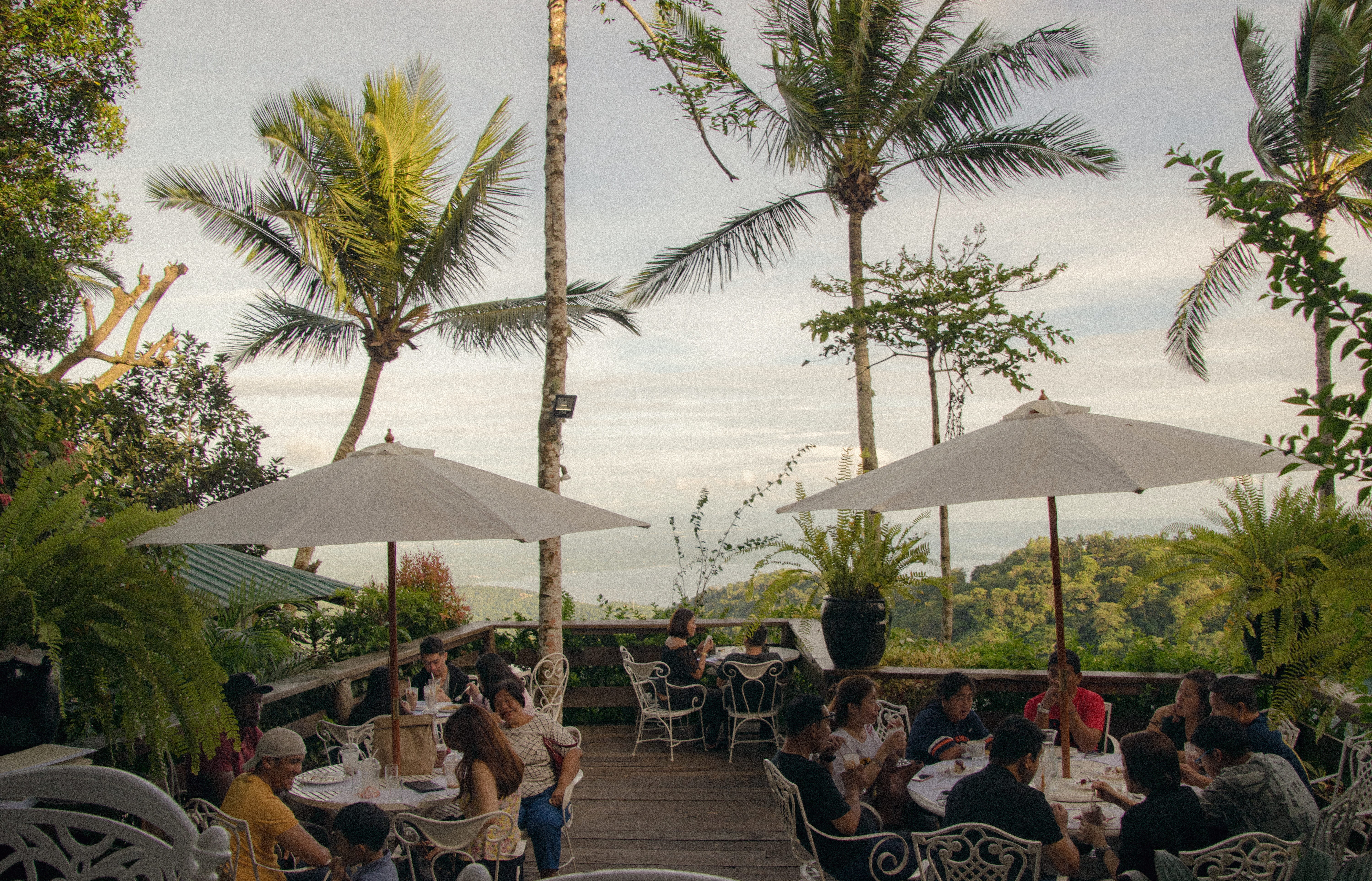 women, group of people, palm tree, lifestyles, adult, plant, sky, breakfast, sunday, crowd, 5K, sunny, philippines, paradise, backyard, parasol, tagaytay, HD Wallpaper
