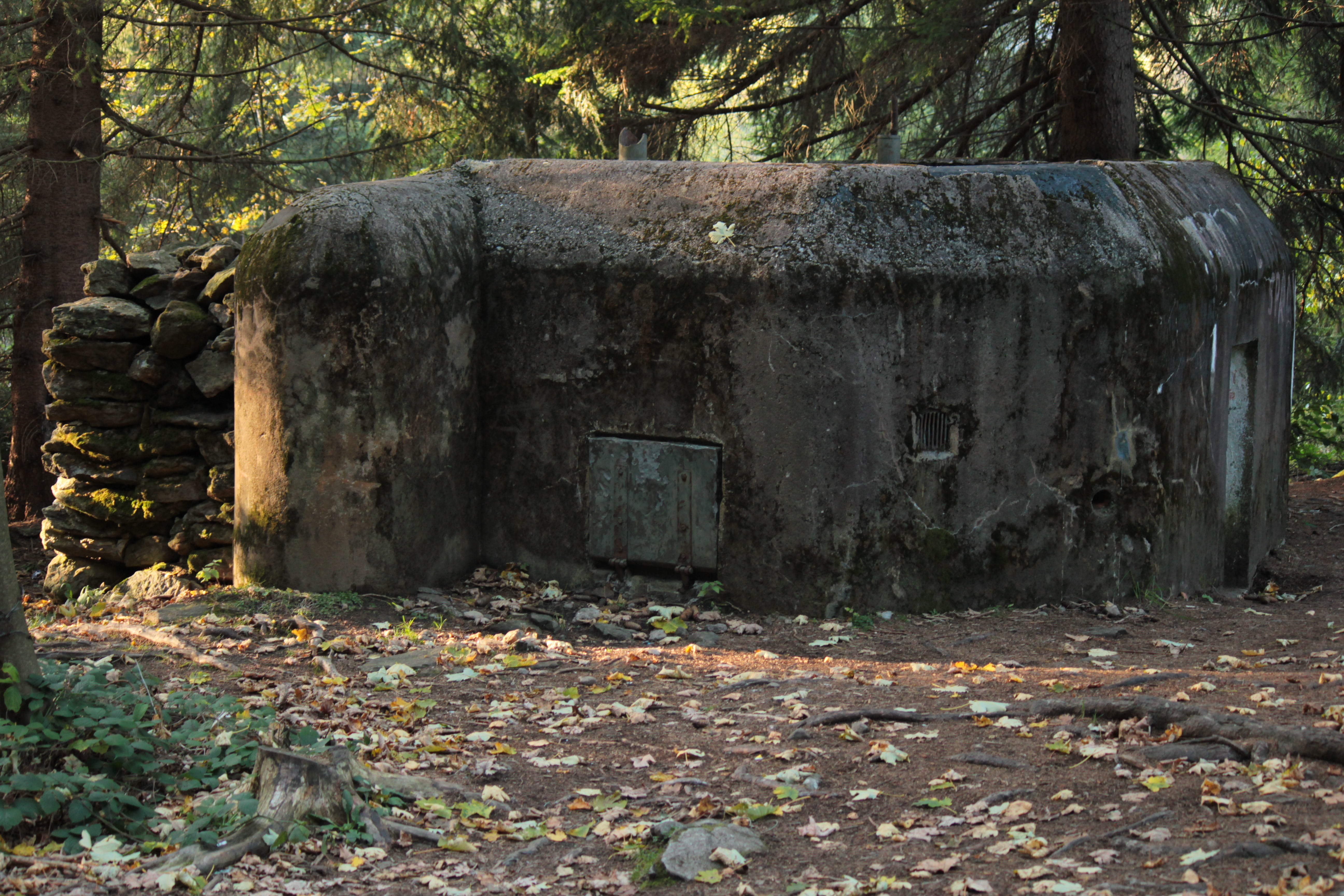 abandoned, damaged, old, šumava, plant part, architecture, the fortifications, outdoors, no people, bunker, the past, nature, building, 5K, leaf, weathered, HD Wallpaper