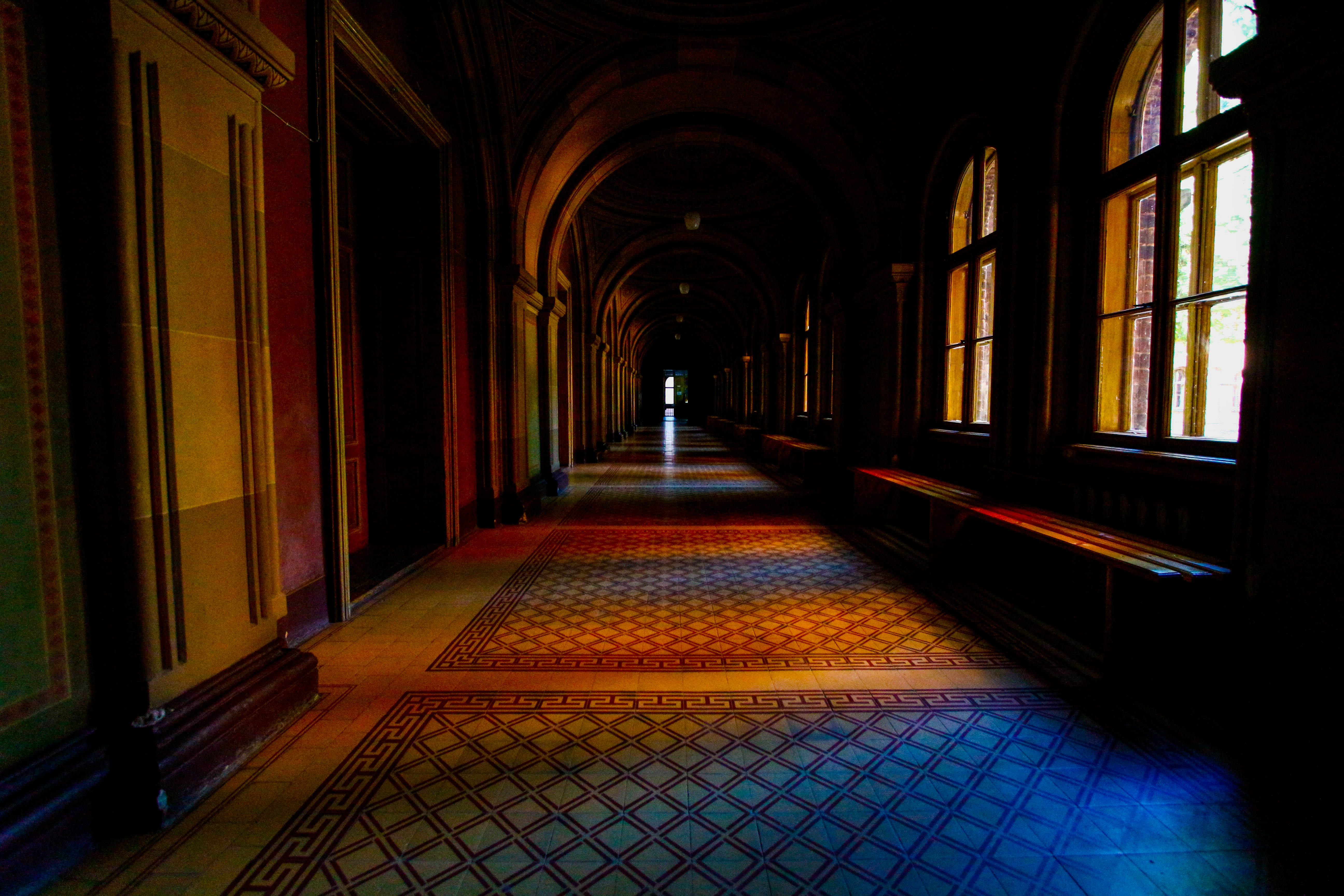 mammal, dog, diminishing perspective, crypt, building, the past, flooring, history, flagstone, architectural column, ipod, quake, hardwood, illuminated, HD Wallpaper