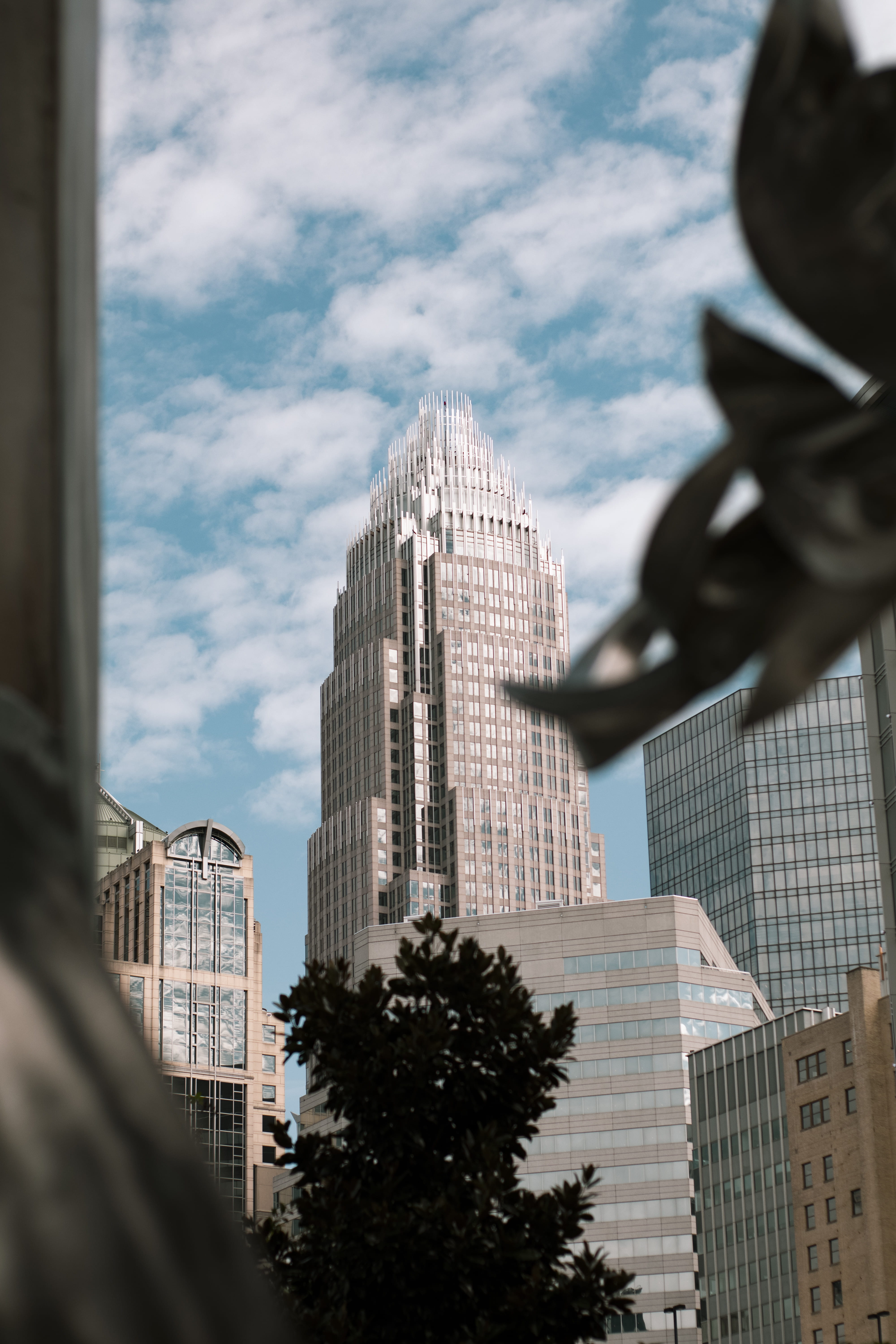 tree, human, sky, cityscape, office, bank of america, travel destinations, plant, downtown, architecture, building exterior, charlotte, skyscraper, 5K, Phone HD Wallpaper