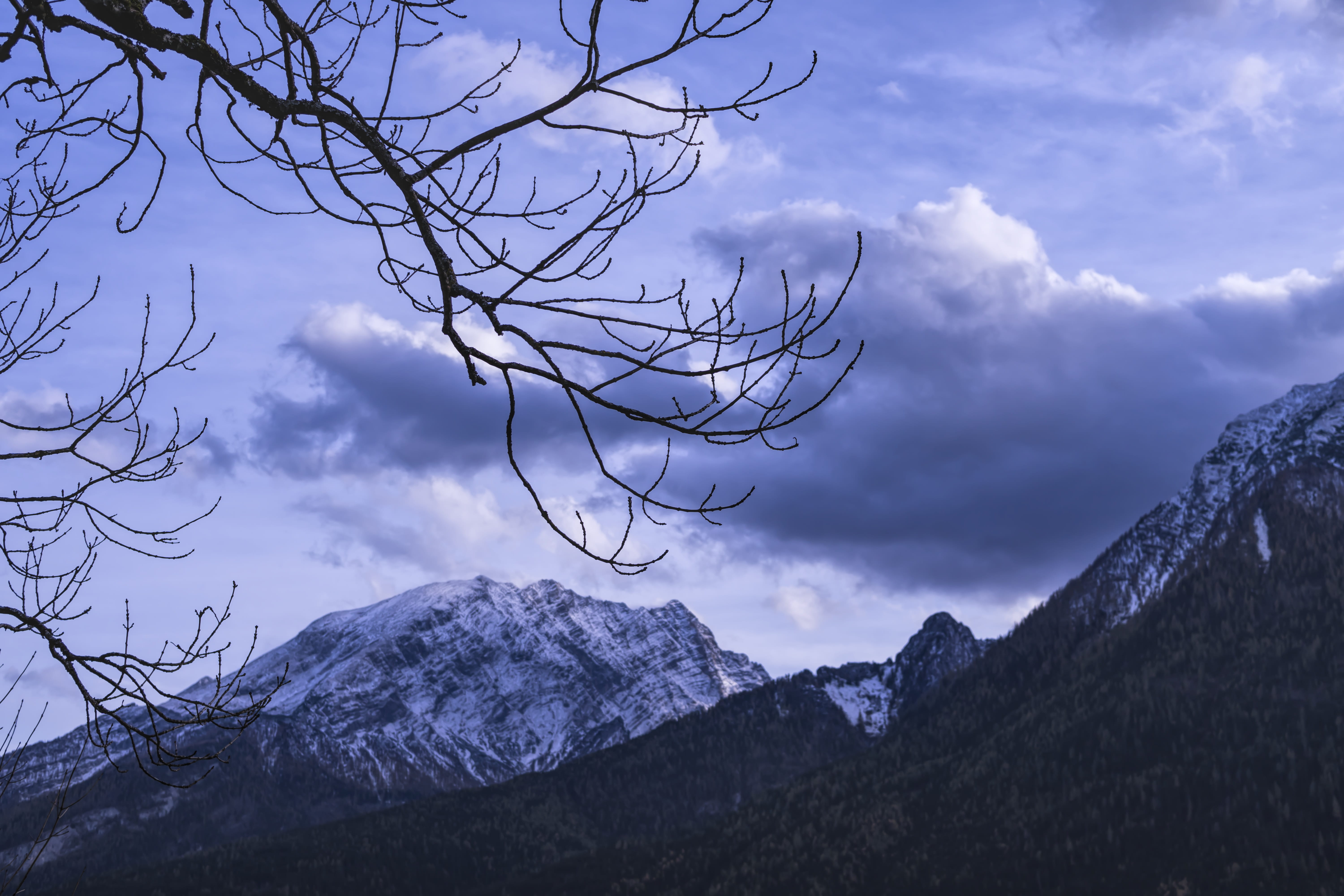 silent, day, mountain, mountain peak, tree, plant, sky, bare tree, snowy, 5K, non-urban scene, cloud - sky, beauty in nature, scenics - nature, no people, HD Wallpaper