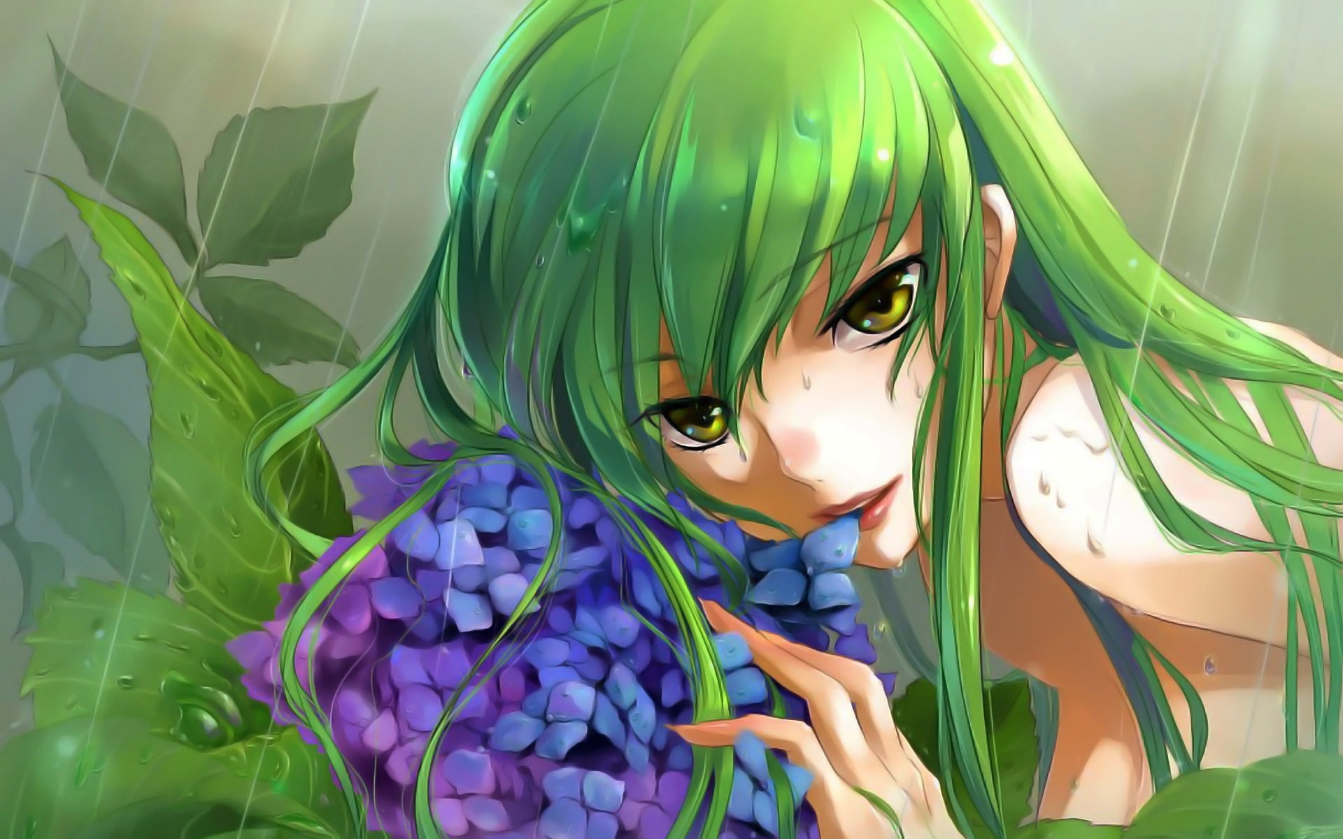 art, C.C., x, geass, 1080P, hd, anime, cc, Code Geass, code, HD Wallpaper