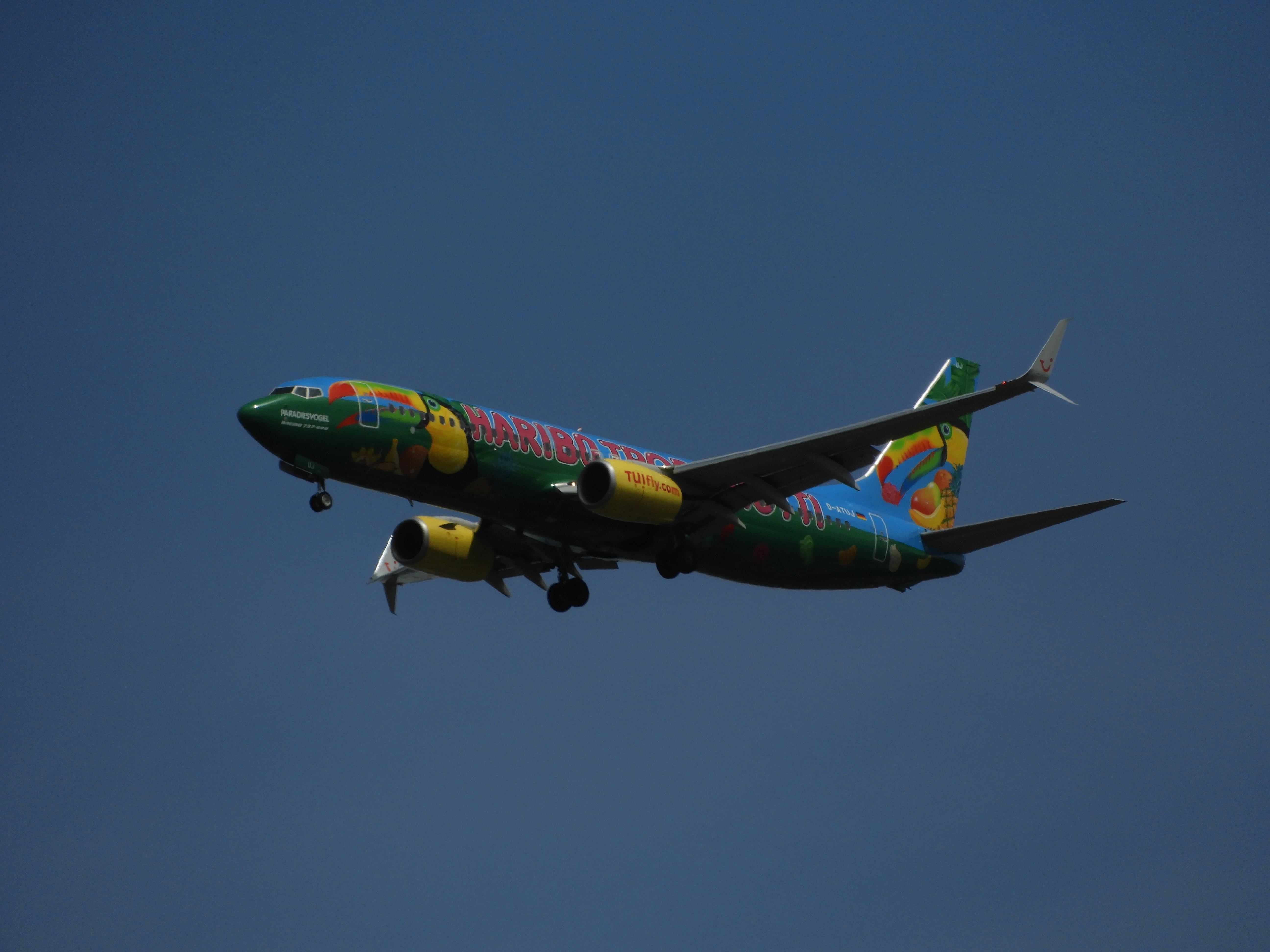5K, landing, haribo, plane, tuifly, multi colored, aircraft, clear sky, airplane, fly, copy space, nature, air vehicle, flying, low angle view, hanover, HD Wallpaper