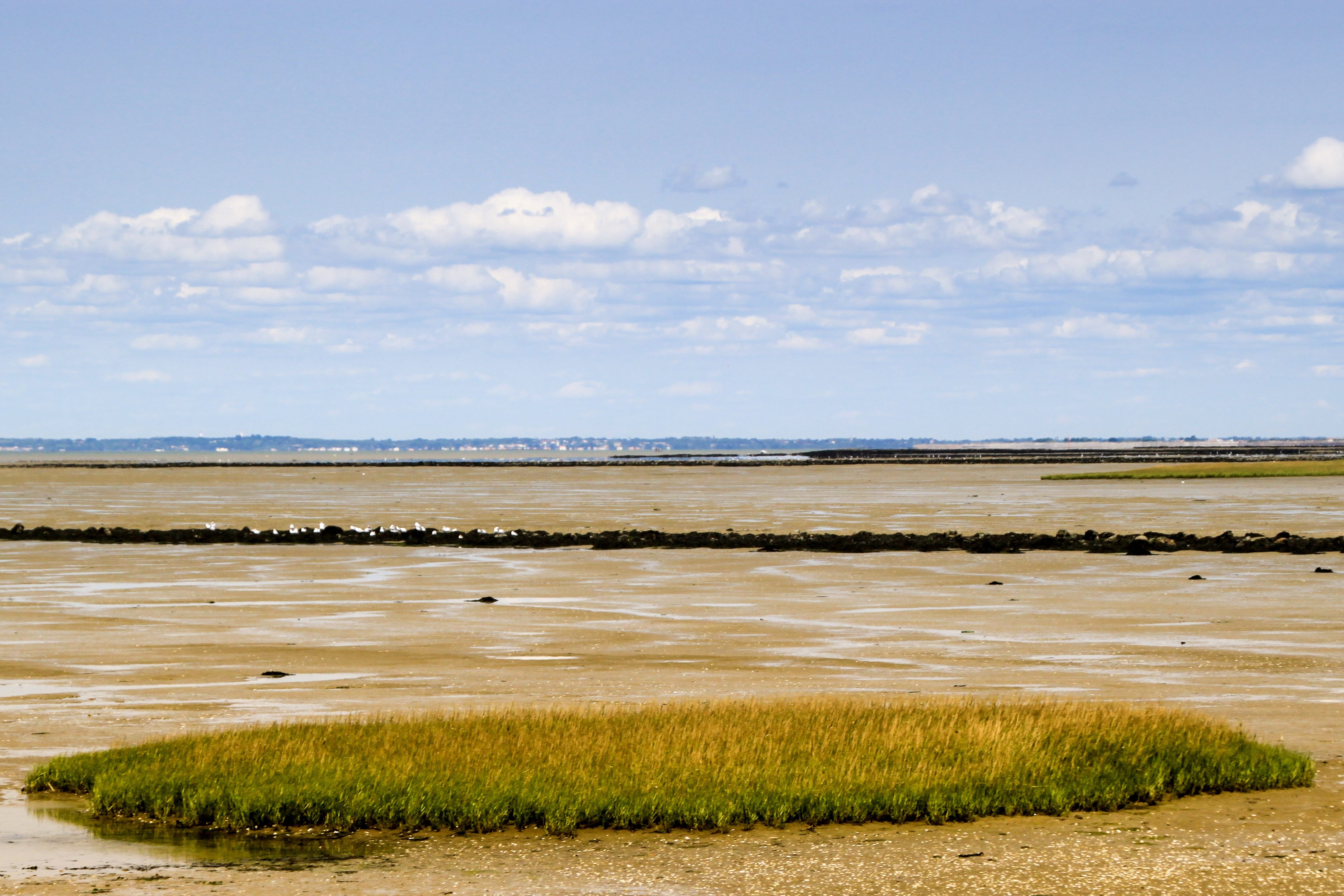 salt flat, beach, 4K, outdoors, water, sky, horizon, environment, scenics - nature, no people, tranquility, nature, plant, landscape, noirmoutier, beauty in nature, HD Wallpaper