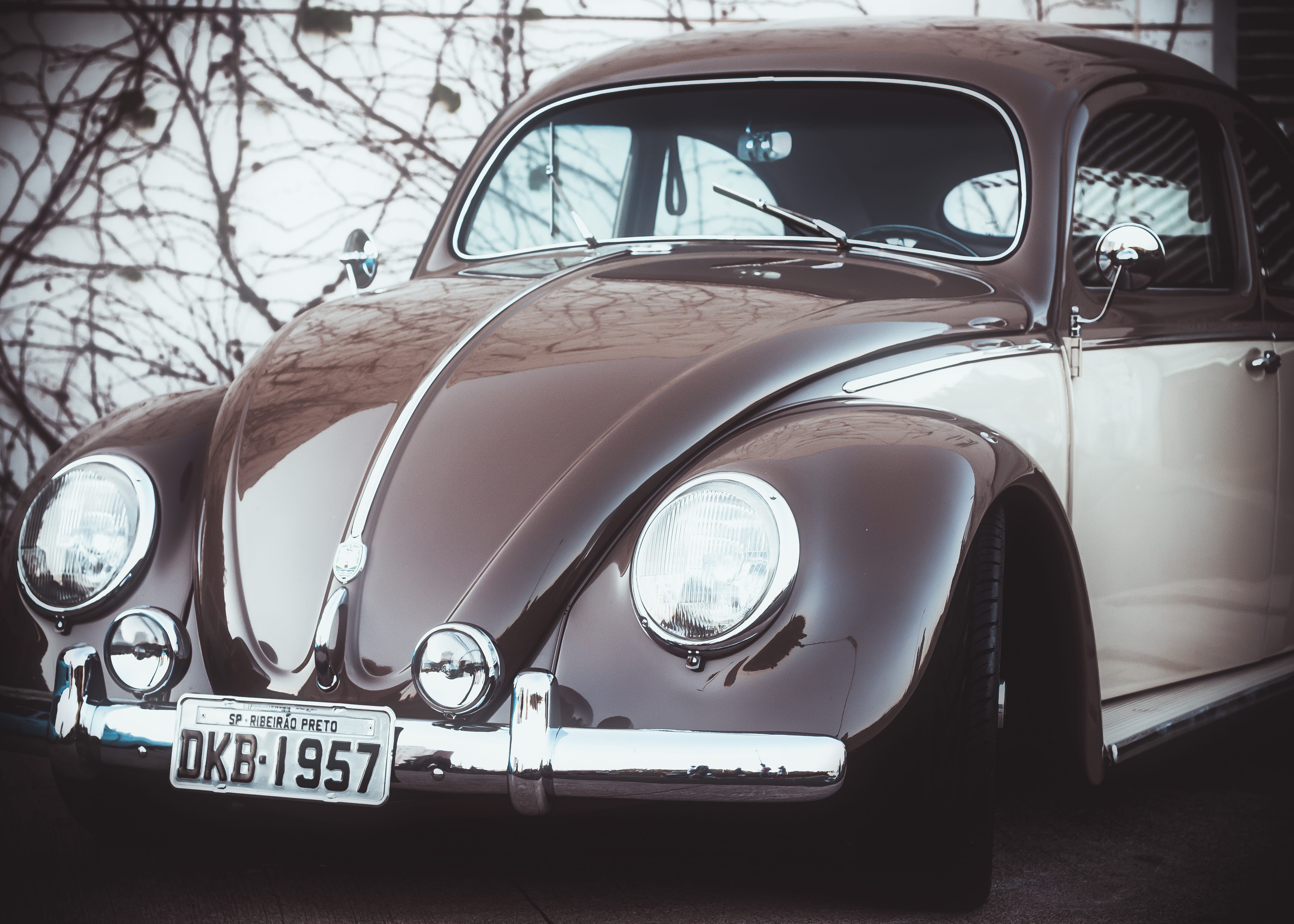 tree, car, focus on foreground, retro styled, text, vintage car, 4K, ribeirão preto, glass - material, authorial, motor vehicle, windshield, reflection, HD Wallpaper