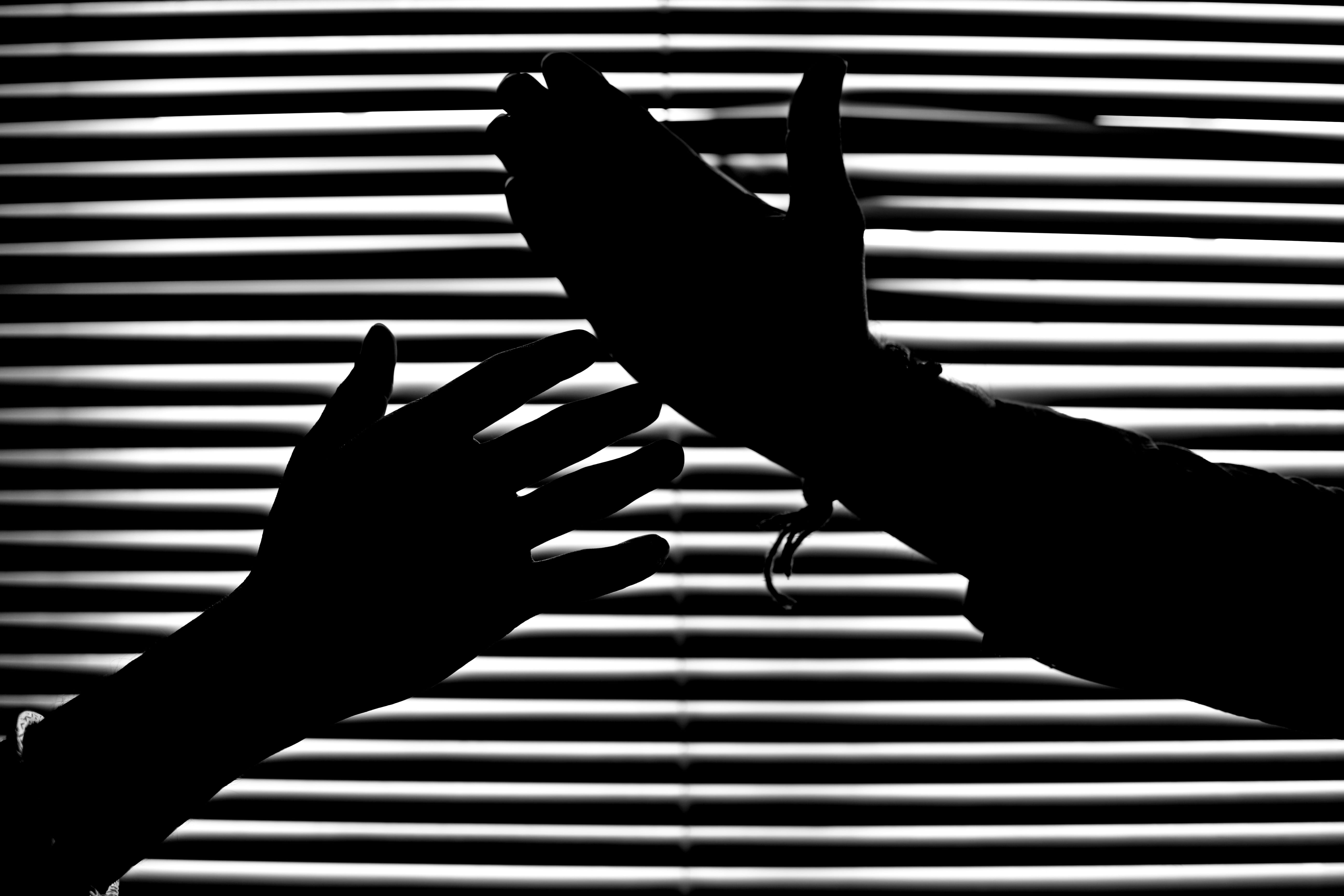 human body part, darkness, hands, stripes, human limb, background, people, dark, pattern, aggression, blinds, window, human hand, unrecognizable person, HD Wallpaper