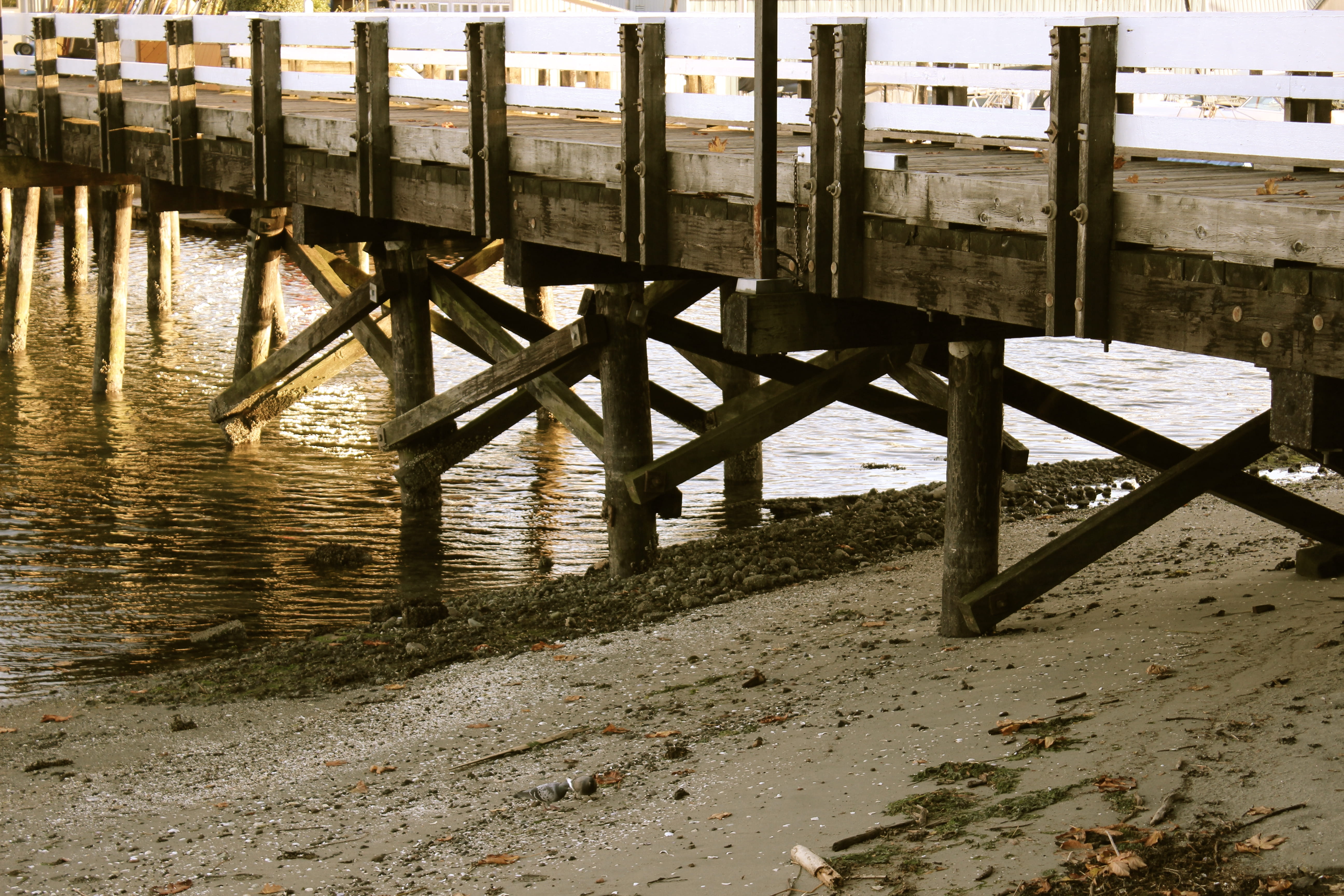 outdoors, sand, tranquility, land, wood - material, connection, sea, no people, railing, beach, bridge, peaceful, connect, 5K, canada, built structure, HD Wallpaper