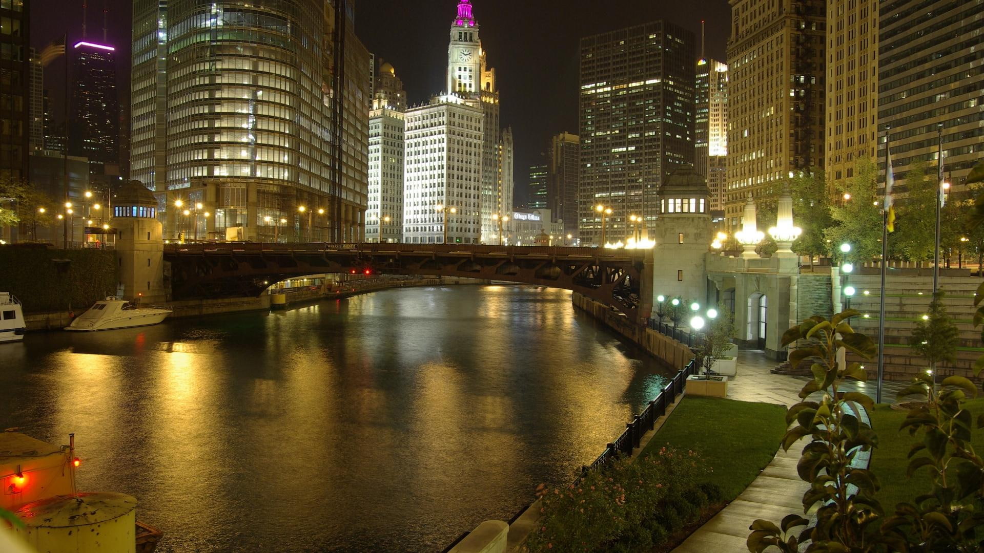 lights, animals, bridge, chicago, 1080P, night, river, skyscrapers, HD Wallpaper