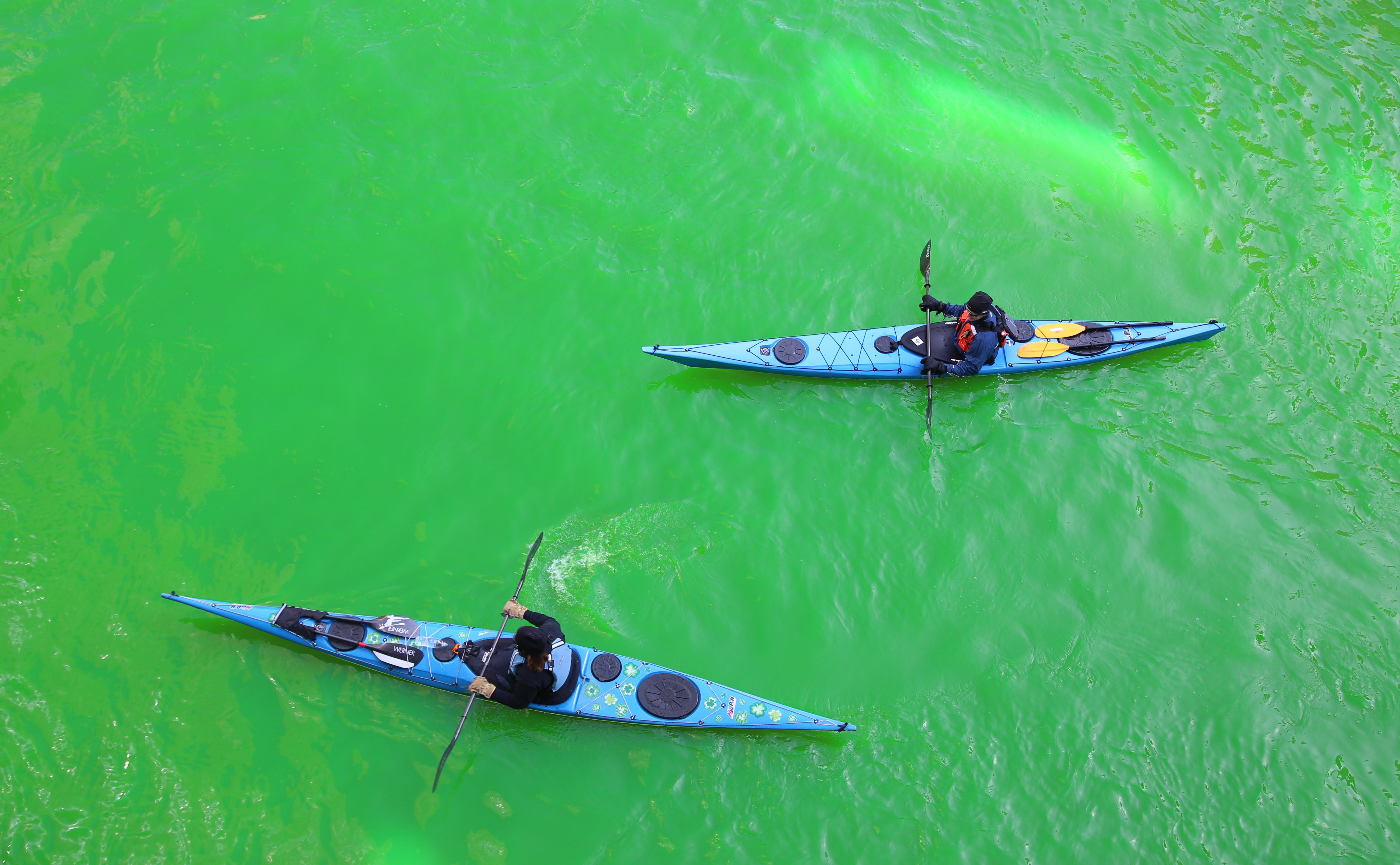 outdoors, chicago river, oar, high angle view, rowing, kayak, kayaking, adult, chicago, downtown, real people, riding, nature, city, people, waterfront, HD Wallpaper