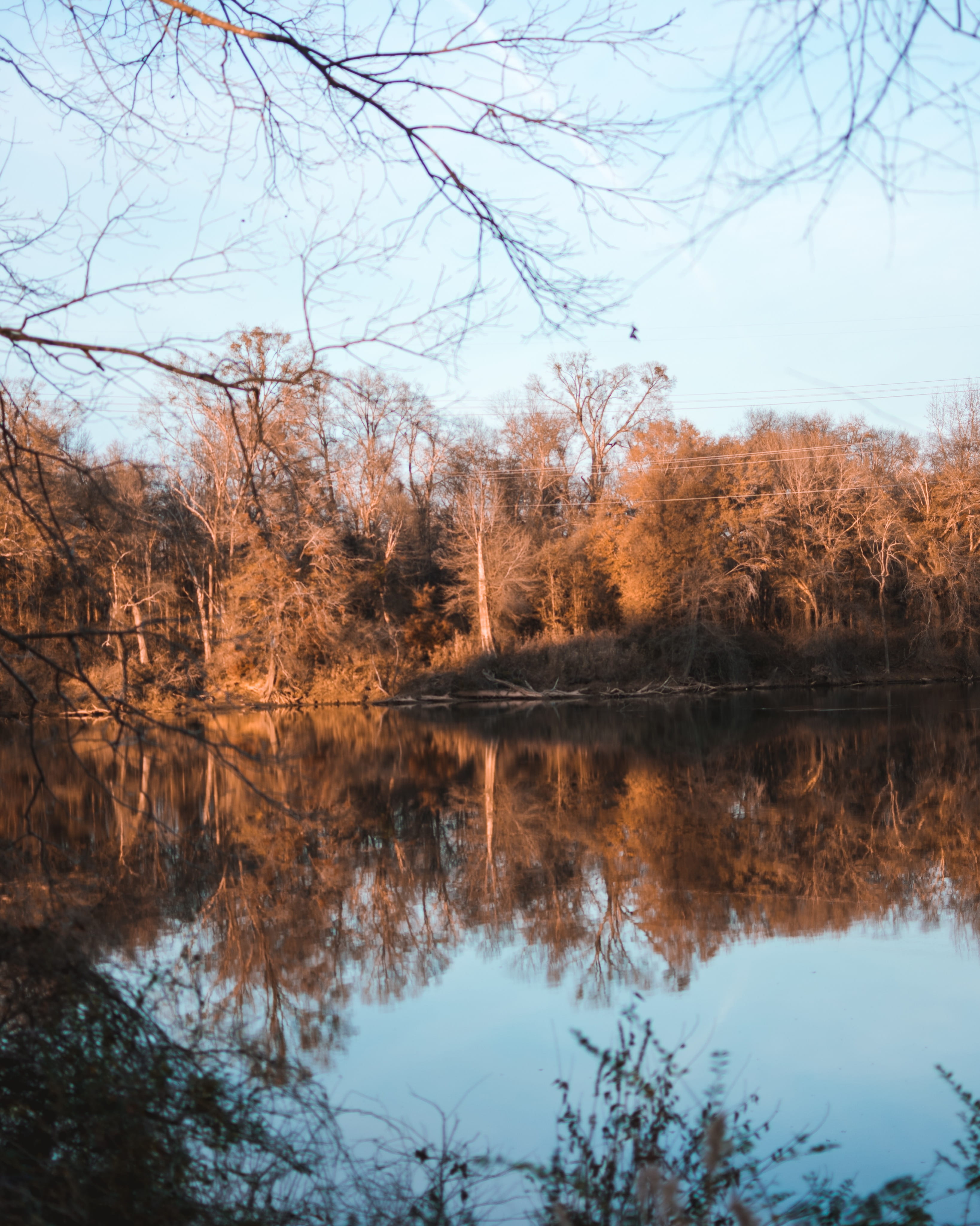forest, outdoors, outdoor, change, water, autumn, lake, waterfront, reflection, tree, tranquil scene, no people, riverwalk, day, chill, bare tree, nature, Phone HD Wallpaper