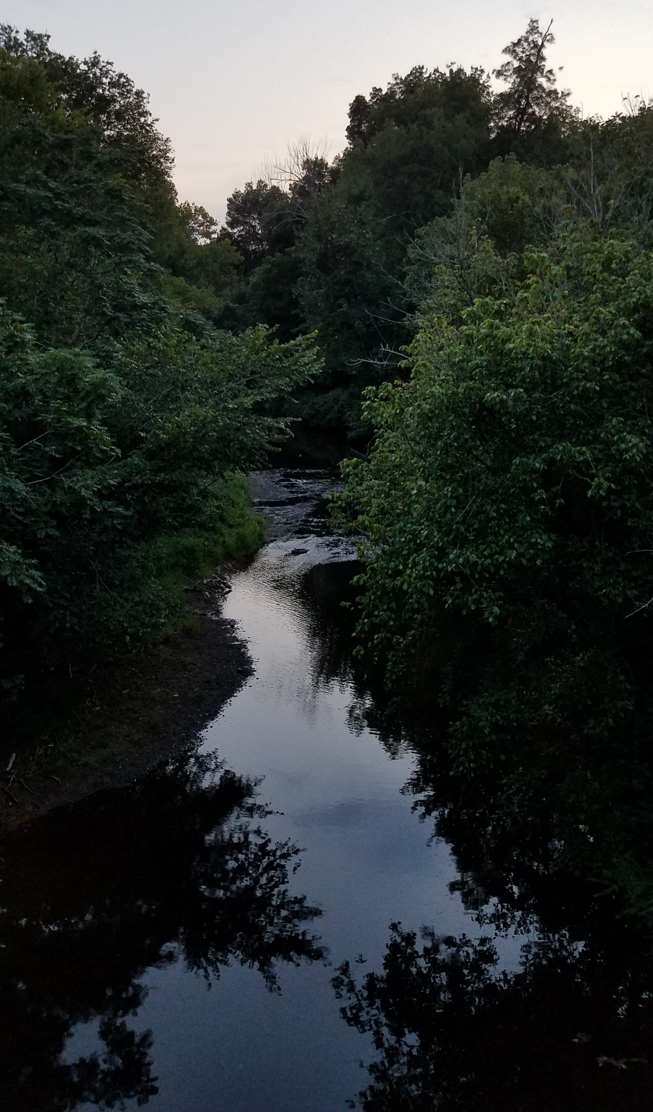 beauty in nature, flowing water, foliage, no people, sky, 2K, historic, tree, water, hillsborough, green color, dusk, day, tranquility, historical, old town, Phone HD Wallpaper