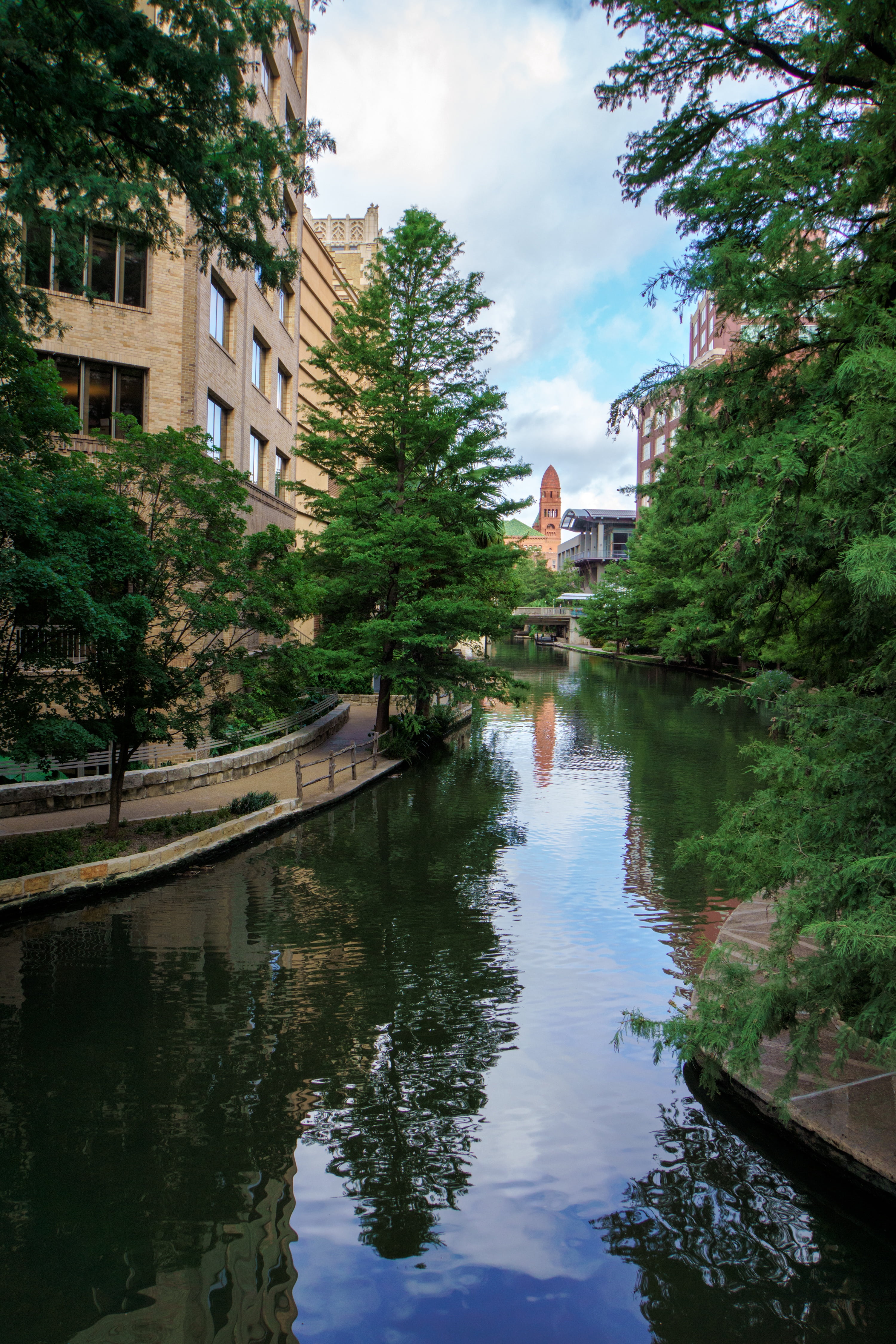 plant, water, waterfront, building, one person, downtown, scenic, san antonio, nature, tour, residential district, tourism, america, urban, city, texan, Phone HD Wallpaper