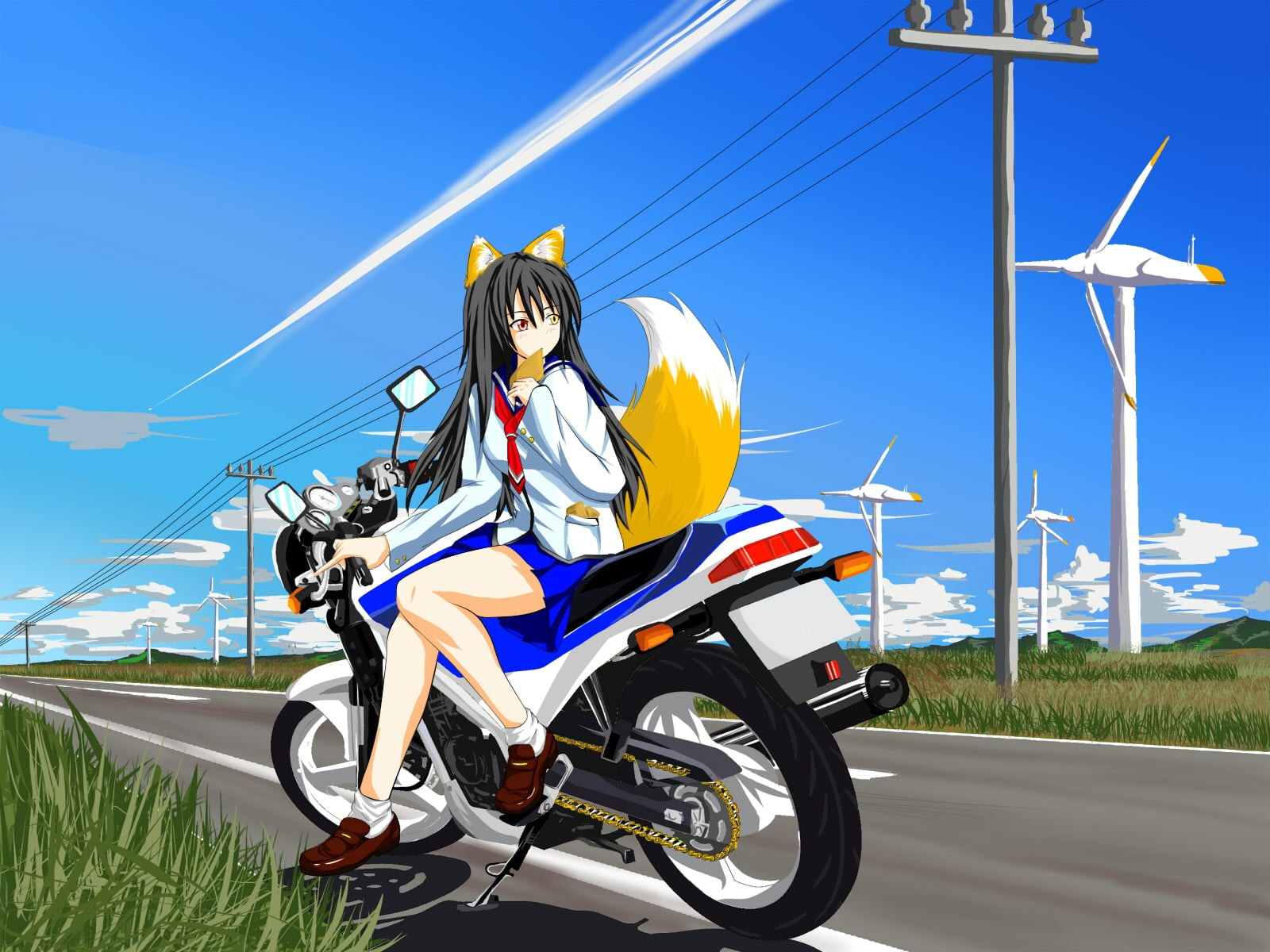 motion, biker, motorcycle, action, engine, women, tail, wind turbine, power, creature, men, adult, mode of transportation, environmental conservation, riding, HD Wallpaper