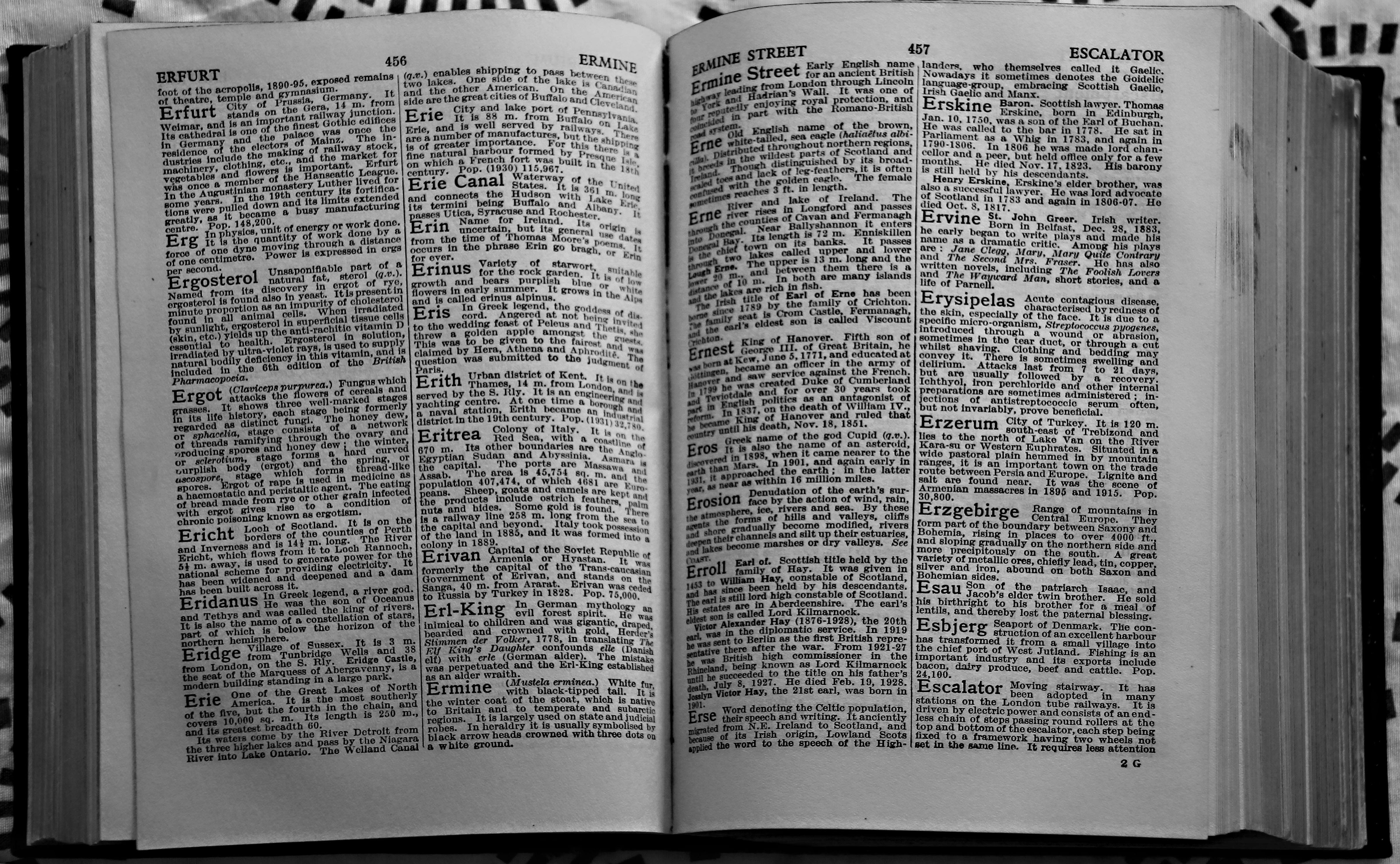 studying, communication, pages, religion, design, collection, knowledge, reading, activity, close-up, education, 4K, interior, information, book, wisdom, HD Wallpaper