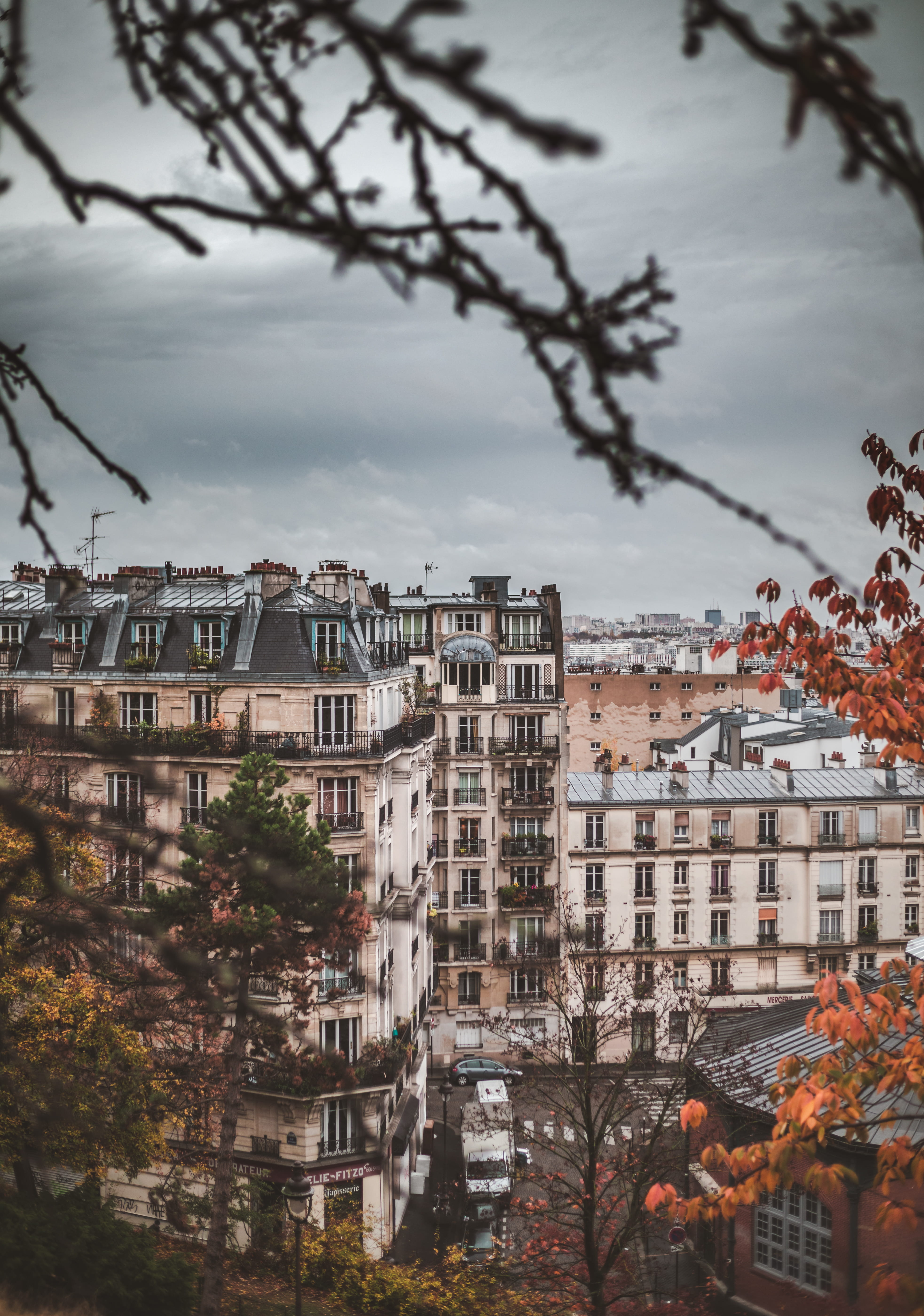 architecture, townscape, building, roof, steeple, water, sky, weather, plant, outdoors, tree, road, 5K, house, town, residential district, day, leaf, cityscape, Phone HD Wallpaper