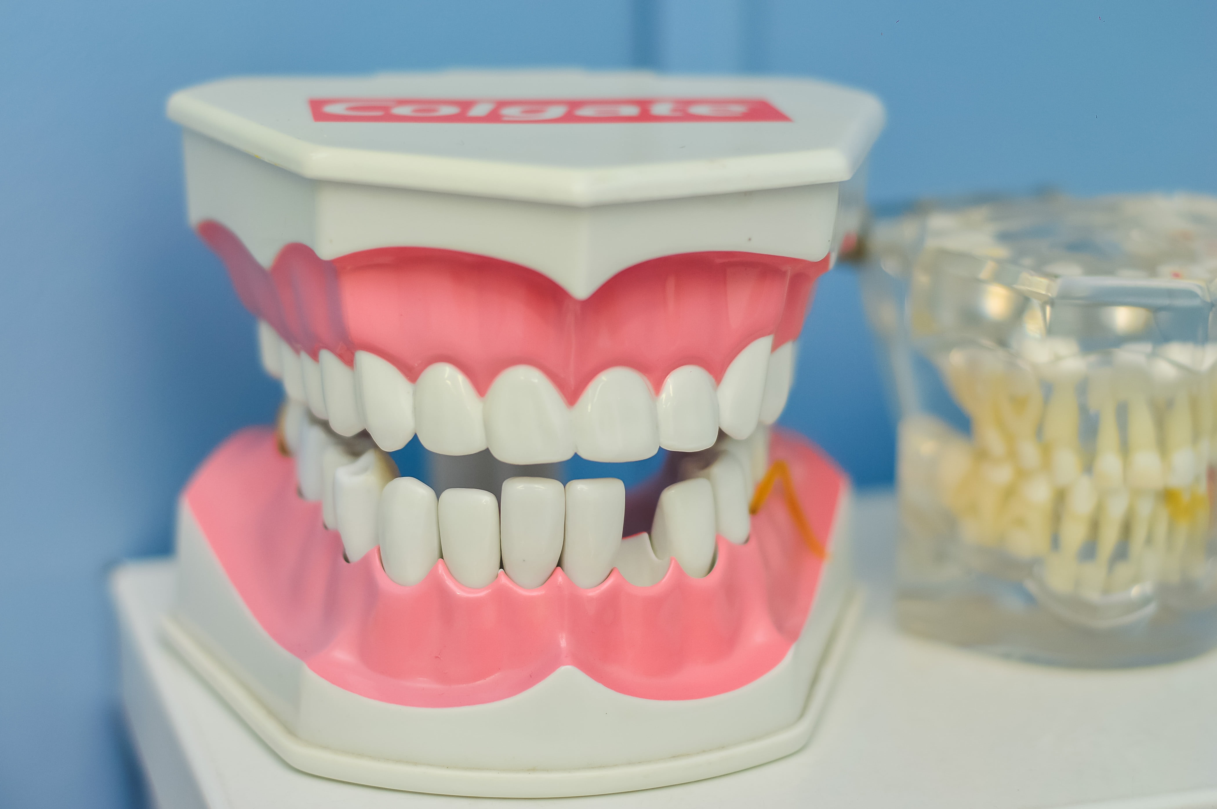 dental equipment, artificial, hygiene, pink, mouth, figurine, medical equipment, still life, white, human teeth, 4K, prosthetic equipment, colgate, focus on foreground, HD Wallpaper