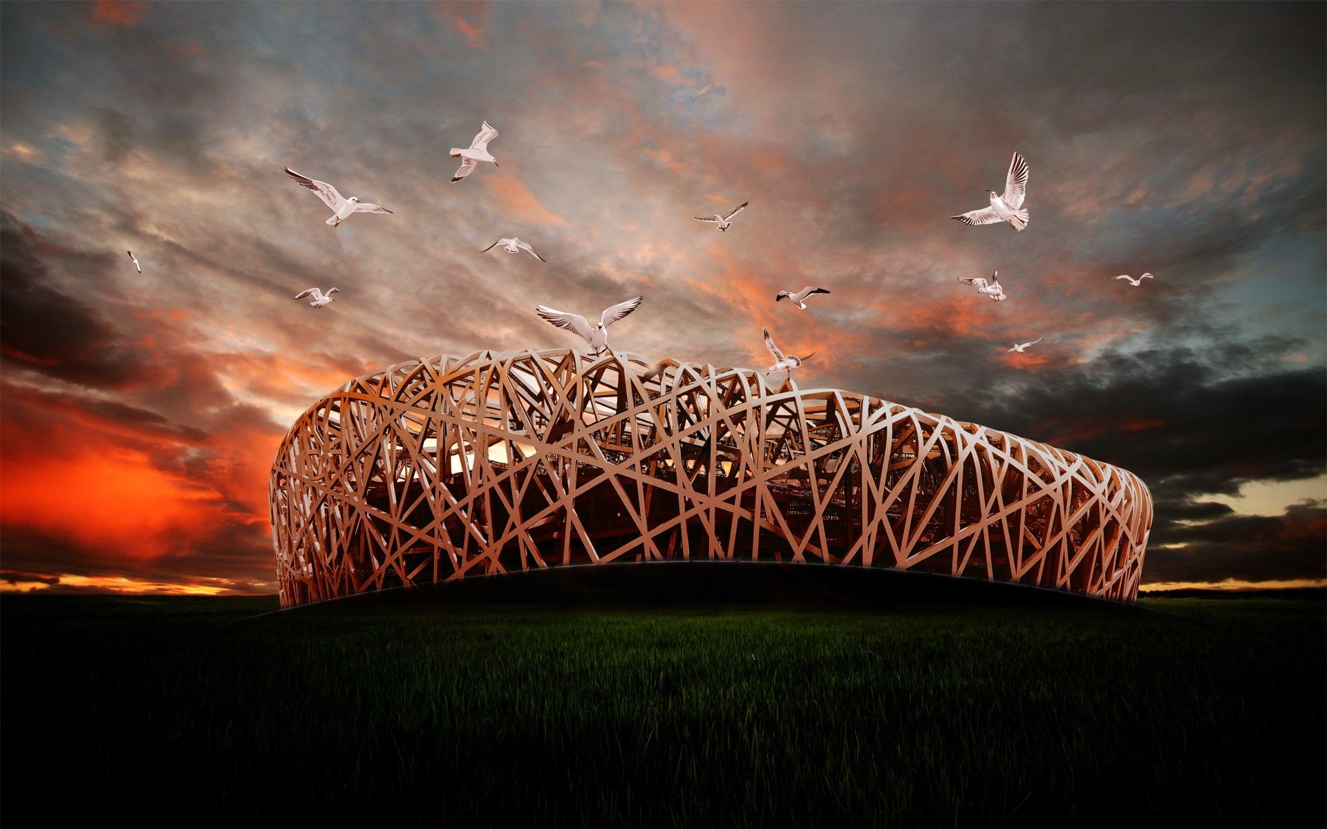 Beijing, manipulation, Stadium, China, Nest, 1080P, birds, Photo, HD Wallpaper