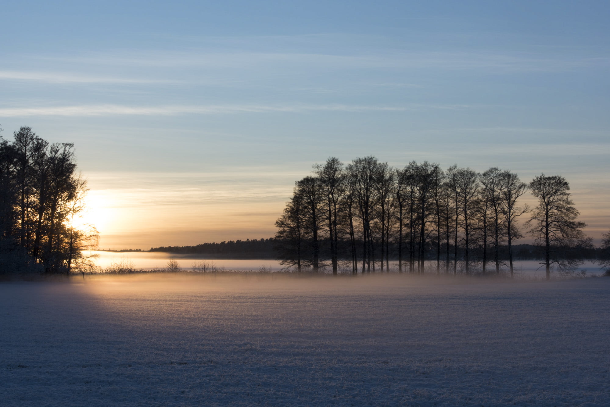 Blue, Trees, Nature, Fog, Sunset, lake, Snow  White, tree, Winter, Cold, Sun, Clouds, calm, outdoors, forest, scenics, Landscape, 1080P, sky, Mist, HD Wallpaper